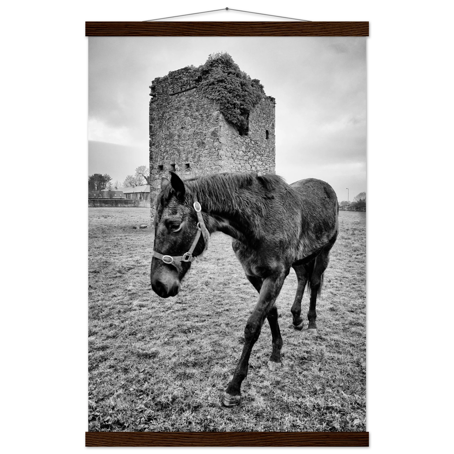 2614e10f-e1a6-4752-8545-2dcbfa9240e0