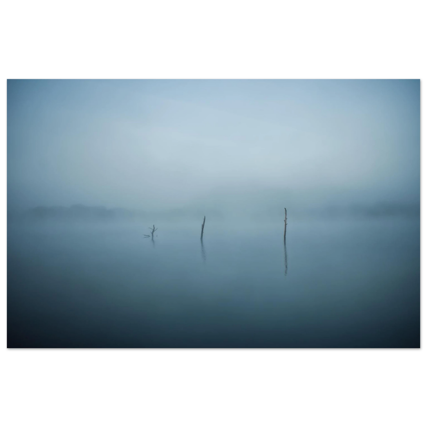 264e95c8-a611-4323-95d7-dbdab846db4b