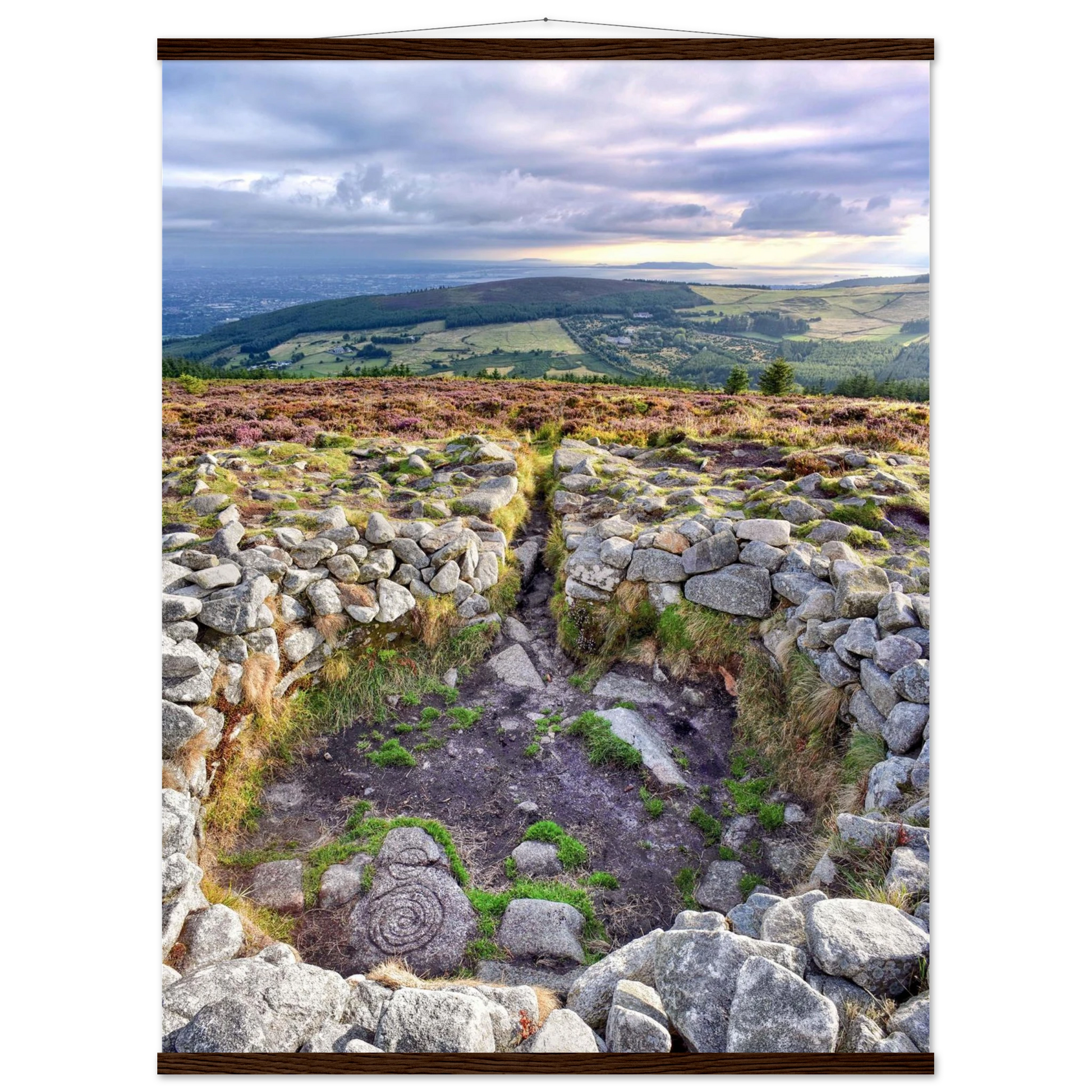 2685403b-3292-4d51-a278-29cafa70a3f6