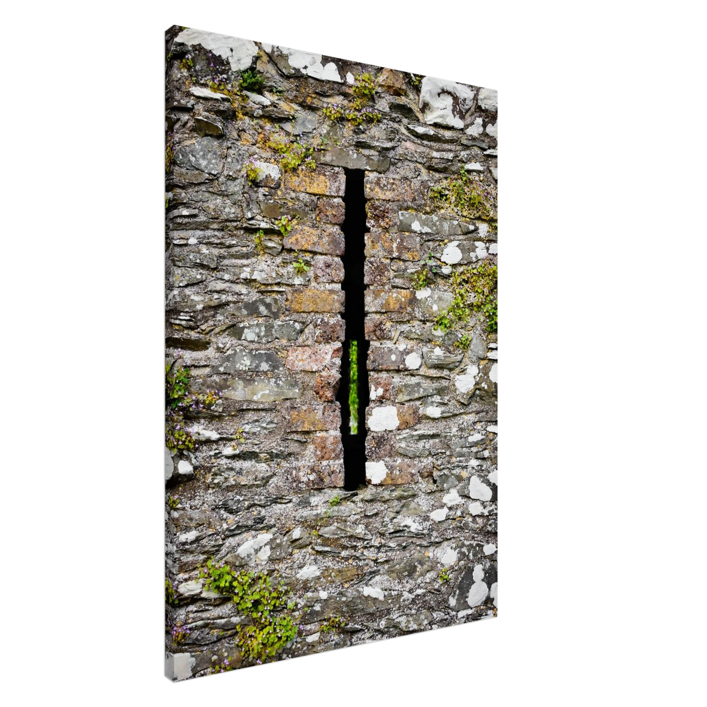 269bcb20-be60-45ca-9548-657c264a4a8e