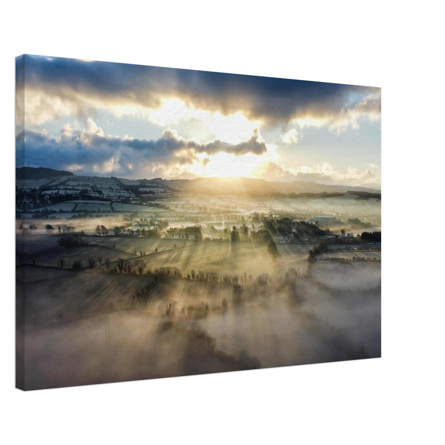 26ddf594-2f50-4a90-a612-67ca4f3962dd