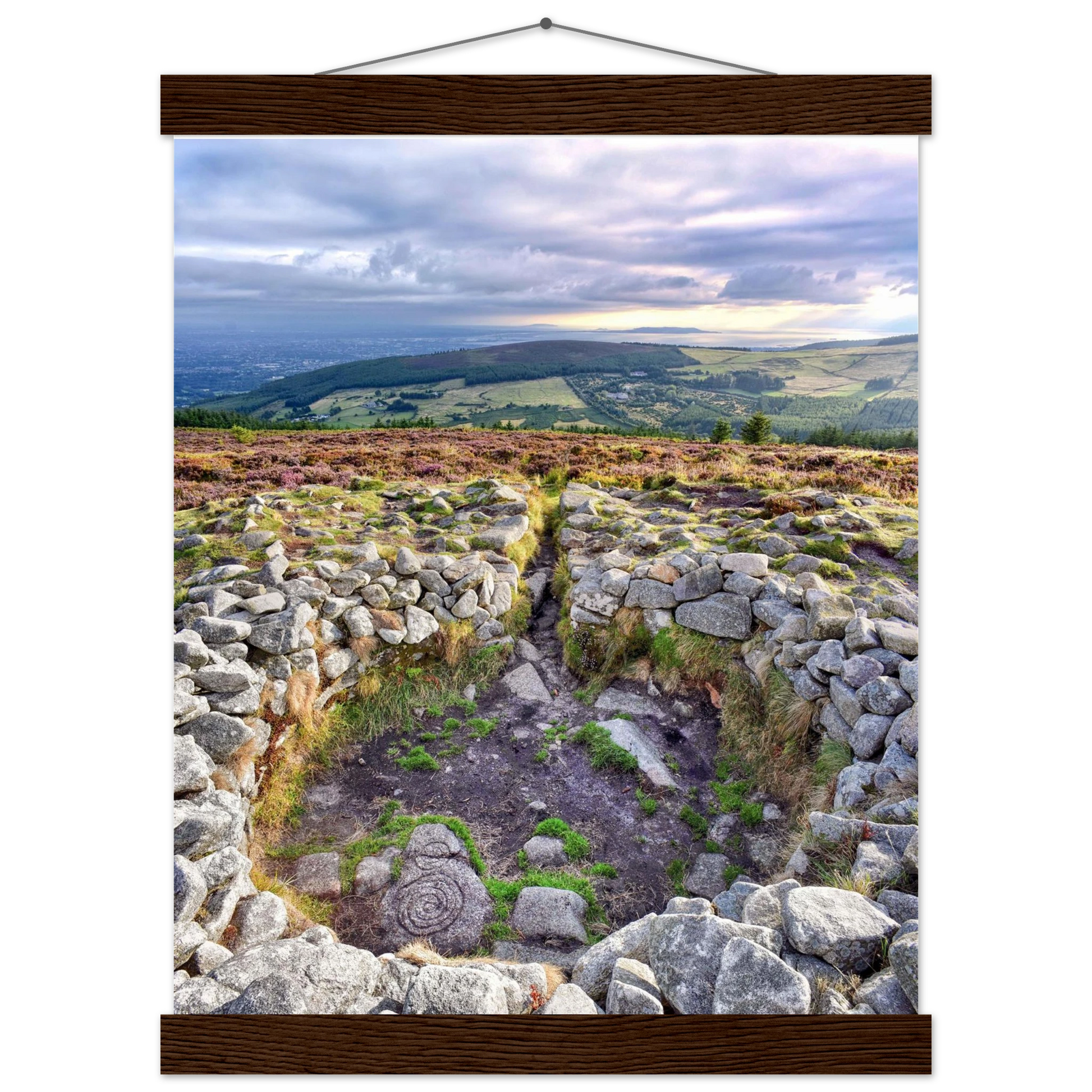 26deedc0-27f5-48e5-8245-a8f4b6d53145