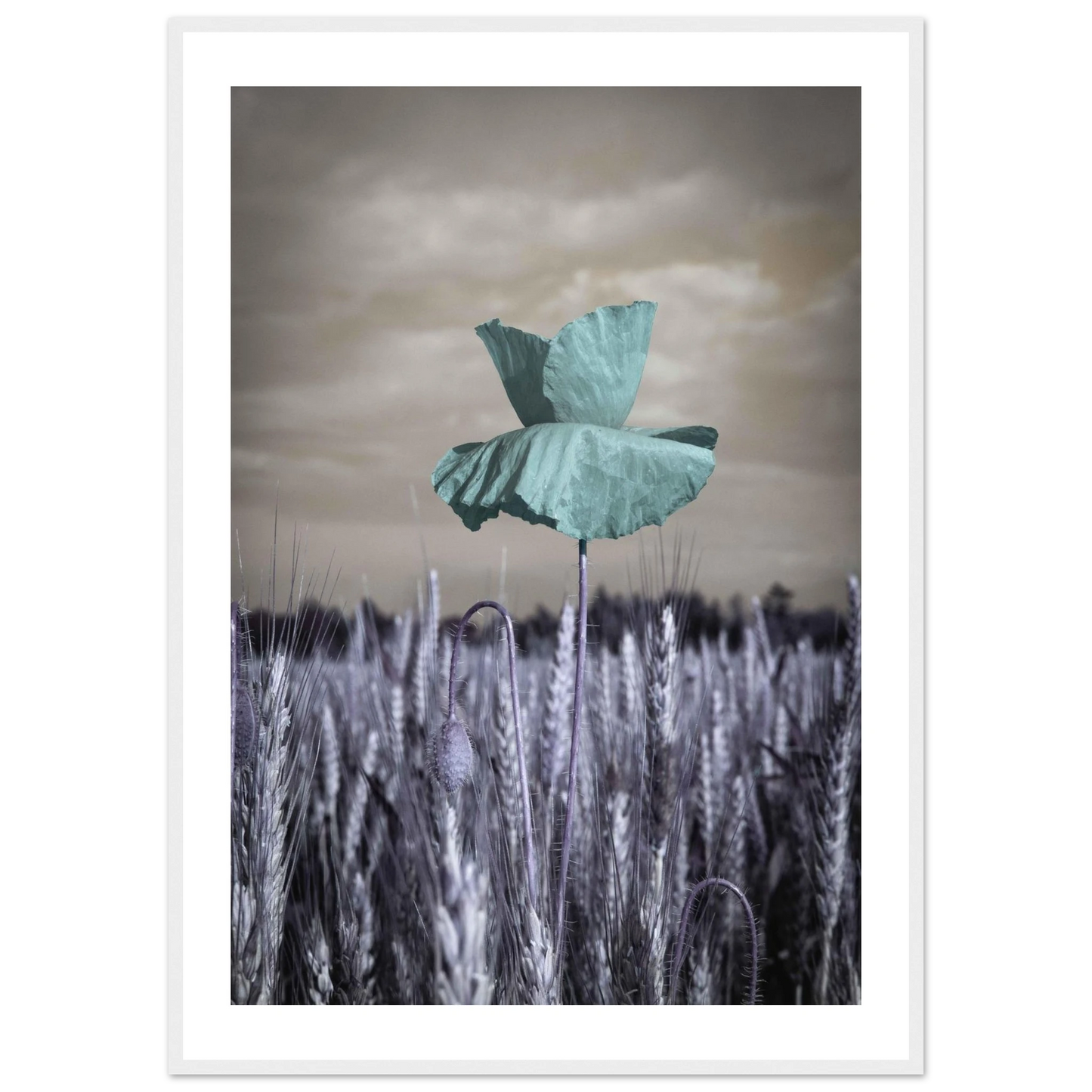 2722b4eb-7e5d-4a51-b33b-5c56f5c2eadb