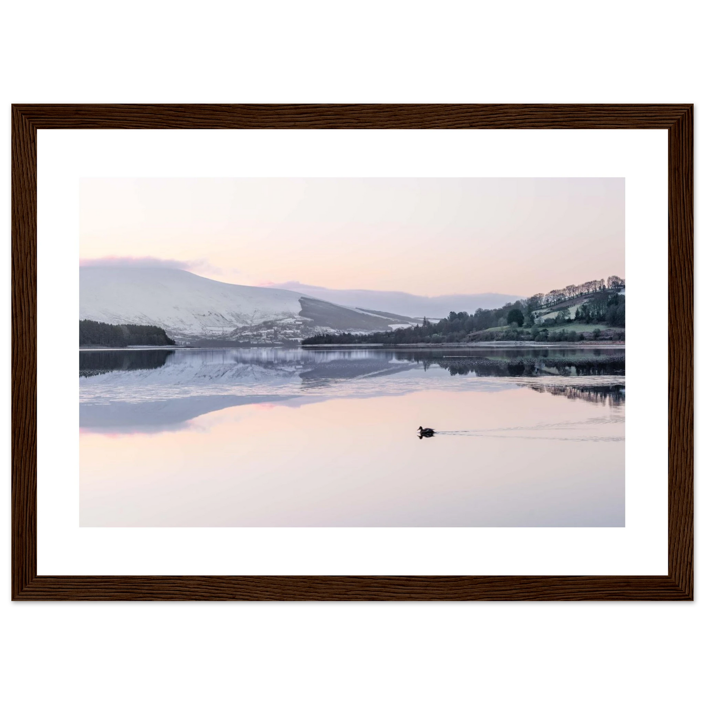 2735d7f2-9d0a-43fc-bc89-6902faaa8017