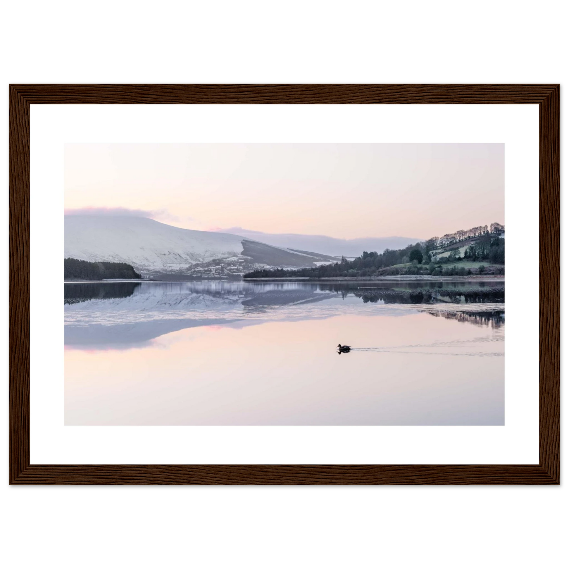 2735d7f2-9d0a-43fc-bc89-6902faaa8017