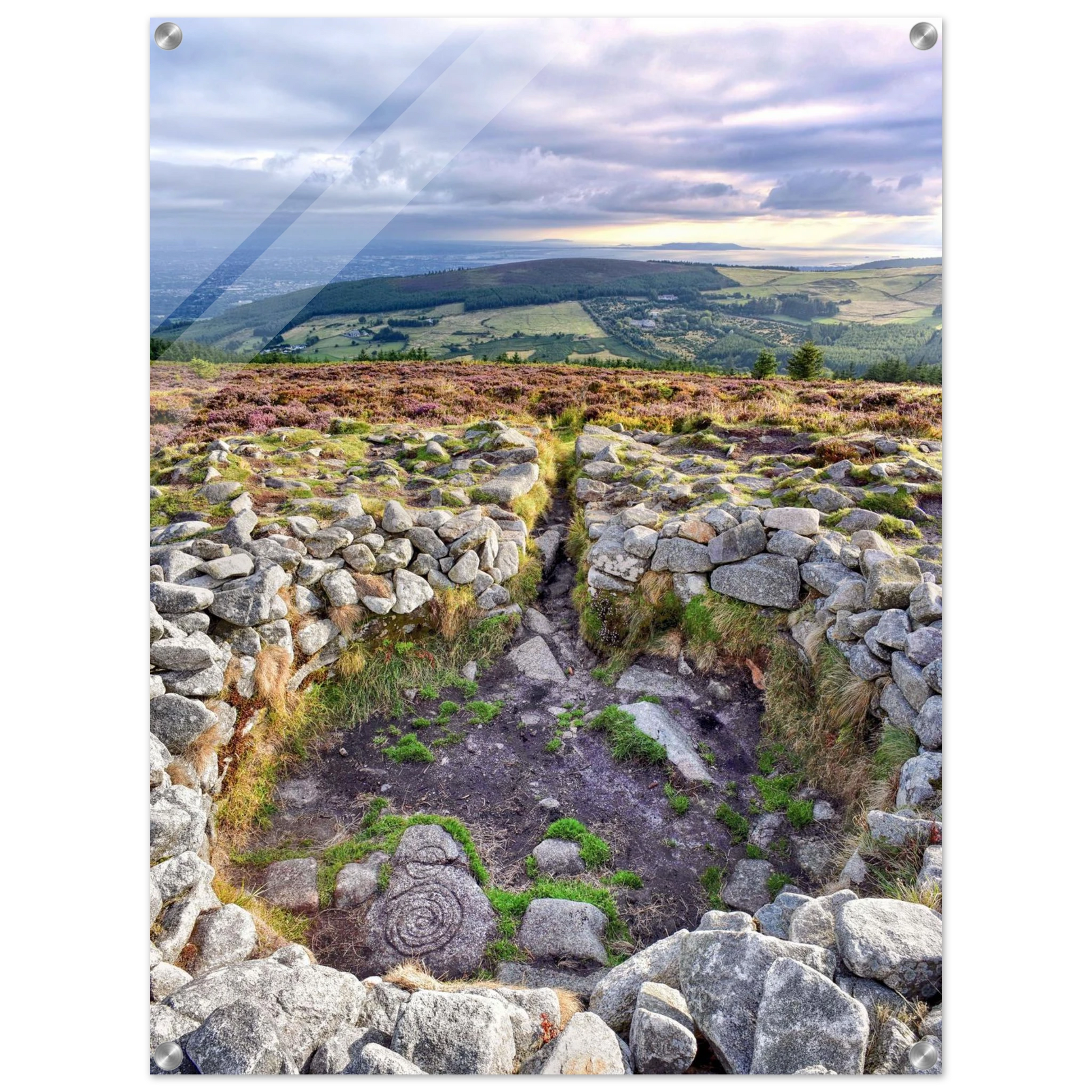 27439b64-f8cf-42a6-8ac9-1d85a9db07ec