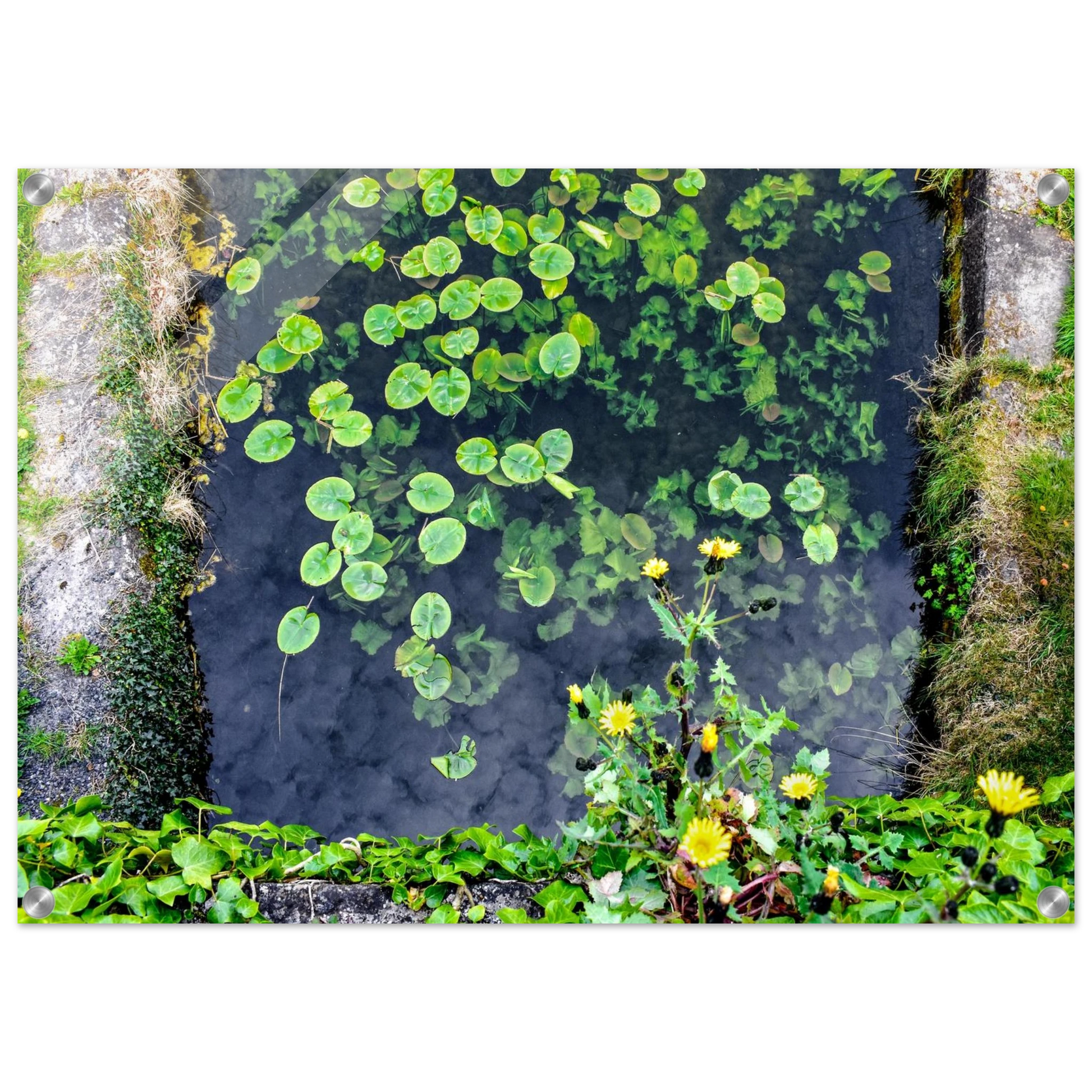 2871ec90-8fbe-4bbb-9cf3-c592b4b73881