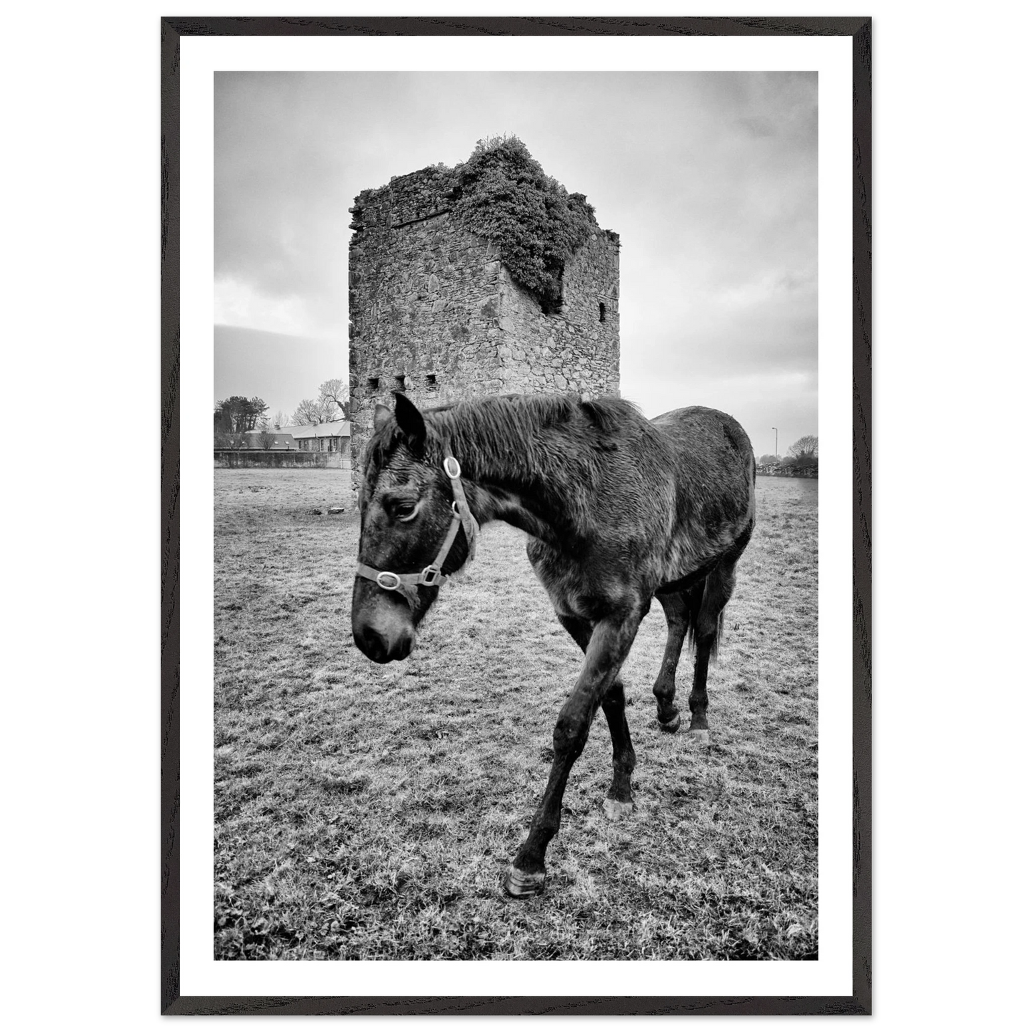 29071864-108a-4f02-850e-936bff771b79