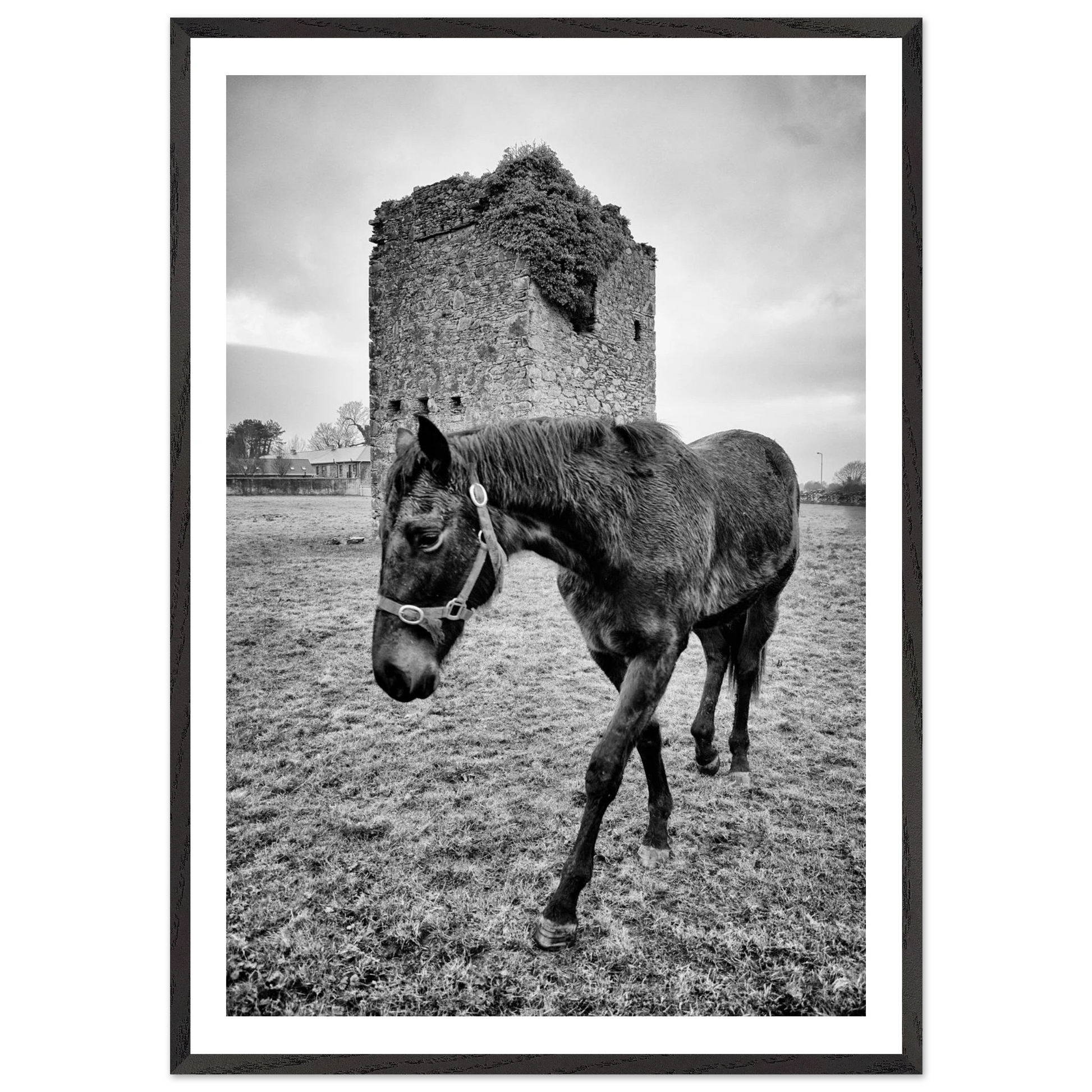 29071864-108a-4f02-850e-936bff771b79