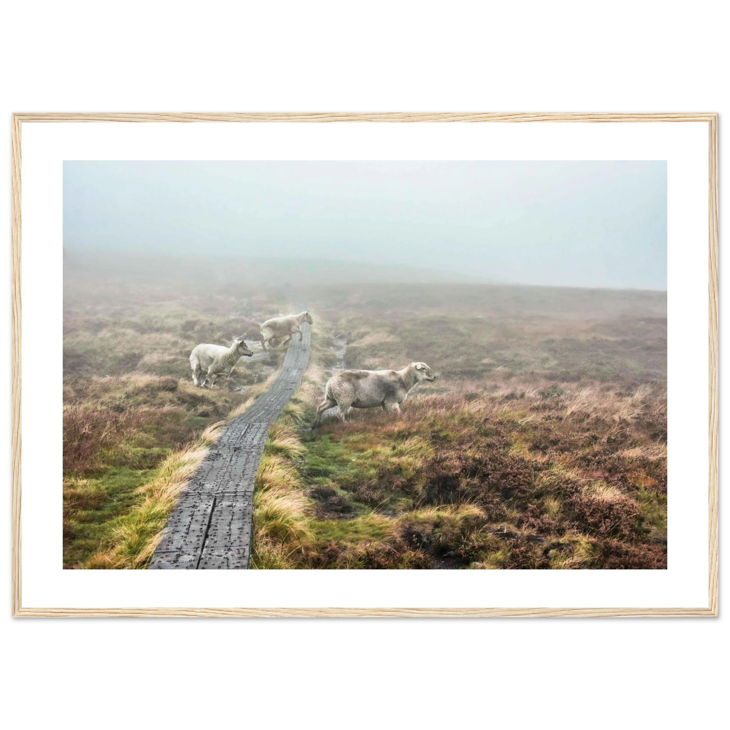 2931e7f8-b2e0-4bc7-b35a-615f1ba5c686