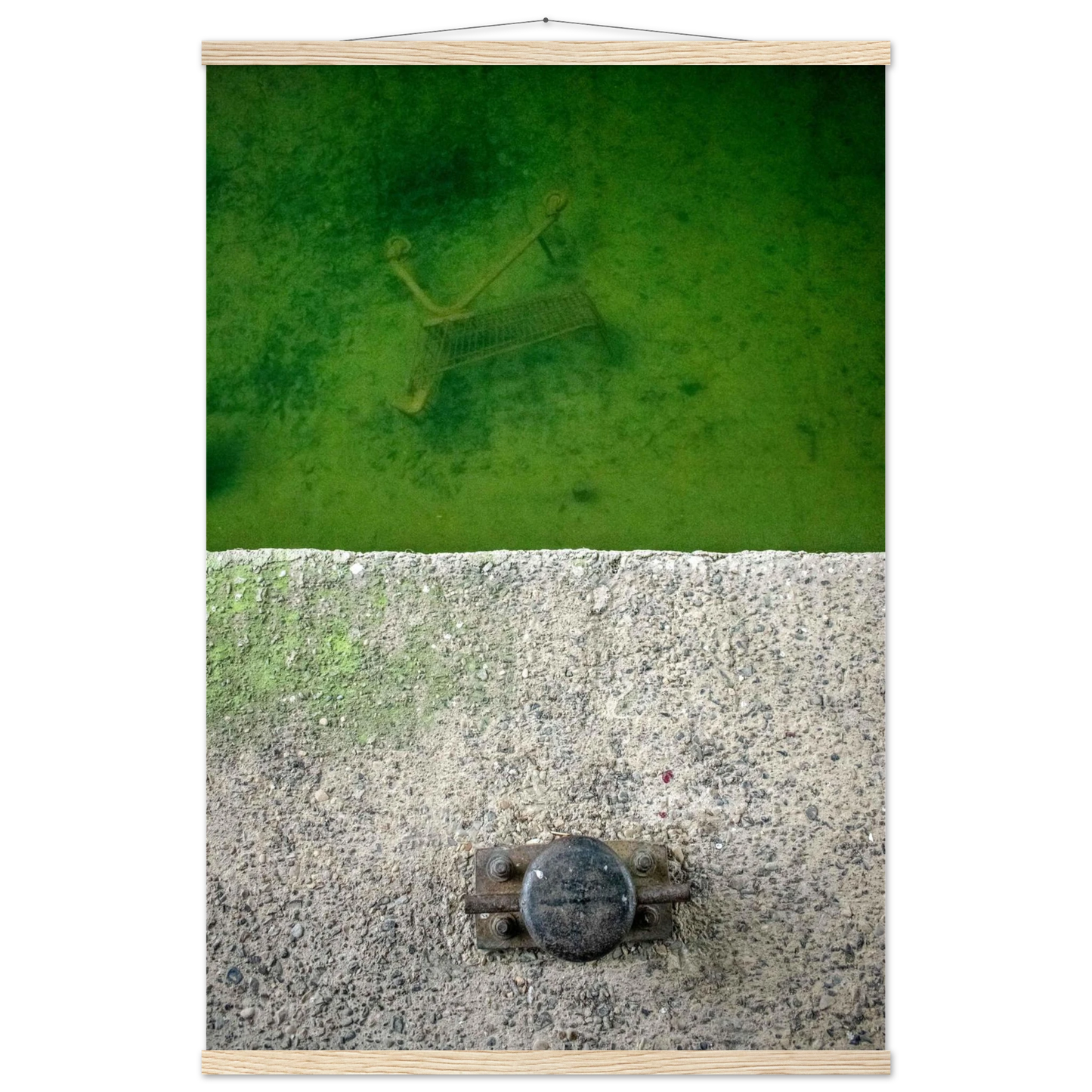 2951e990-b78b-4566-95db-46fe9b097280