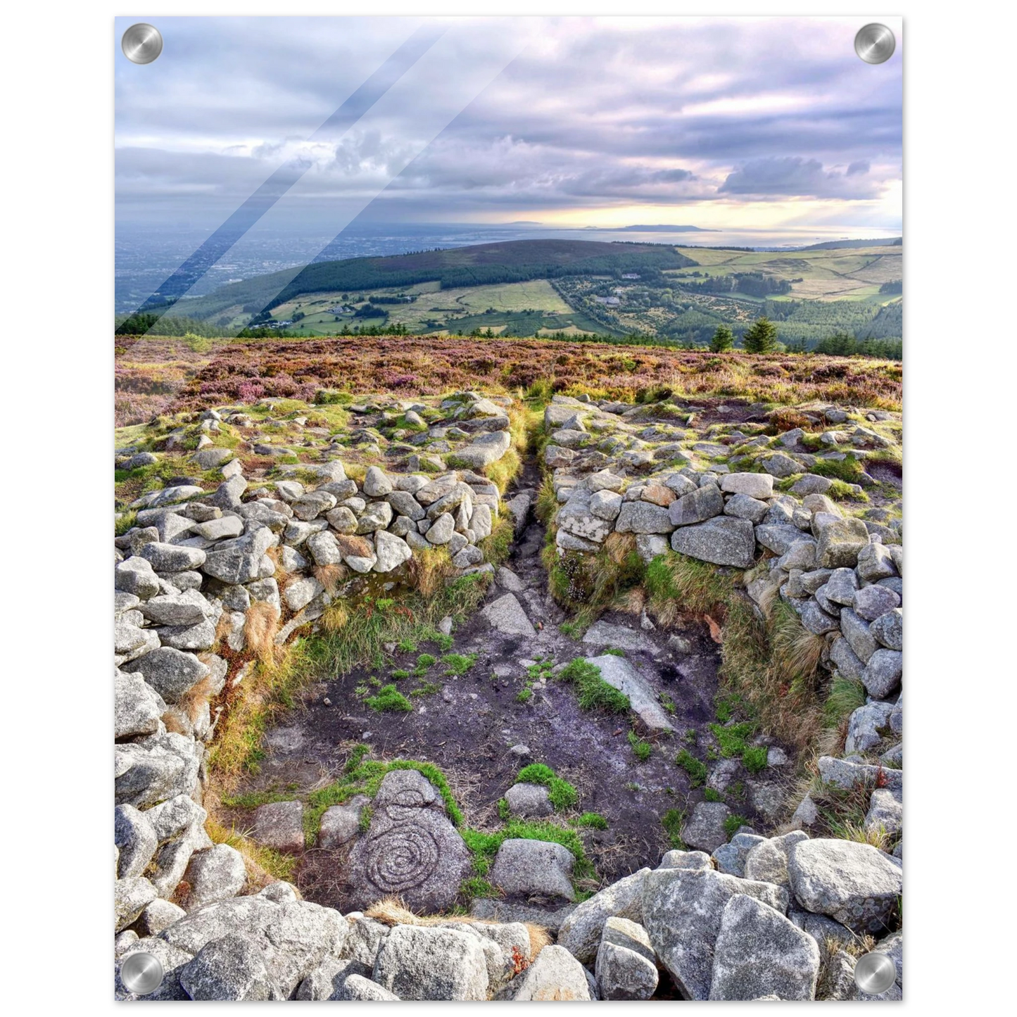 2958b0d9-db82-4a1d-b89f-609dfa75066b