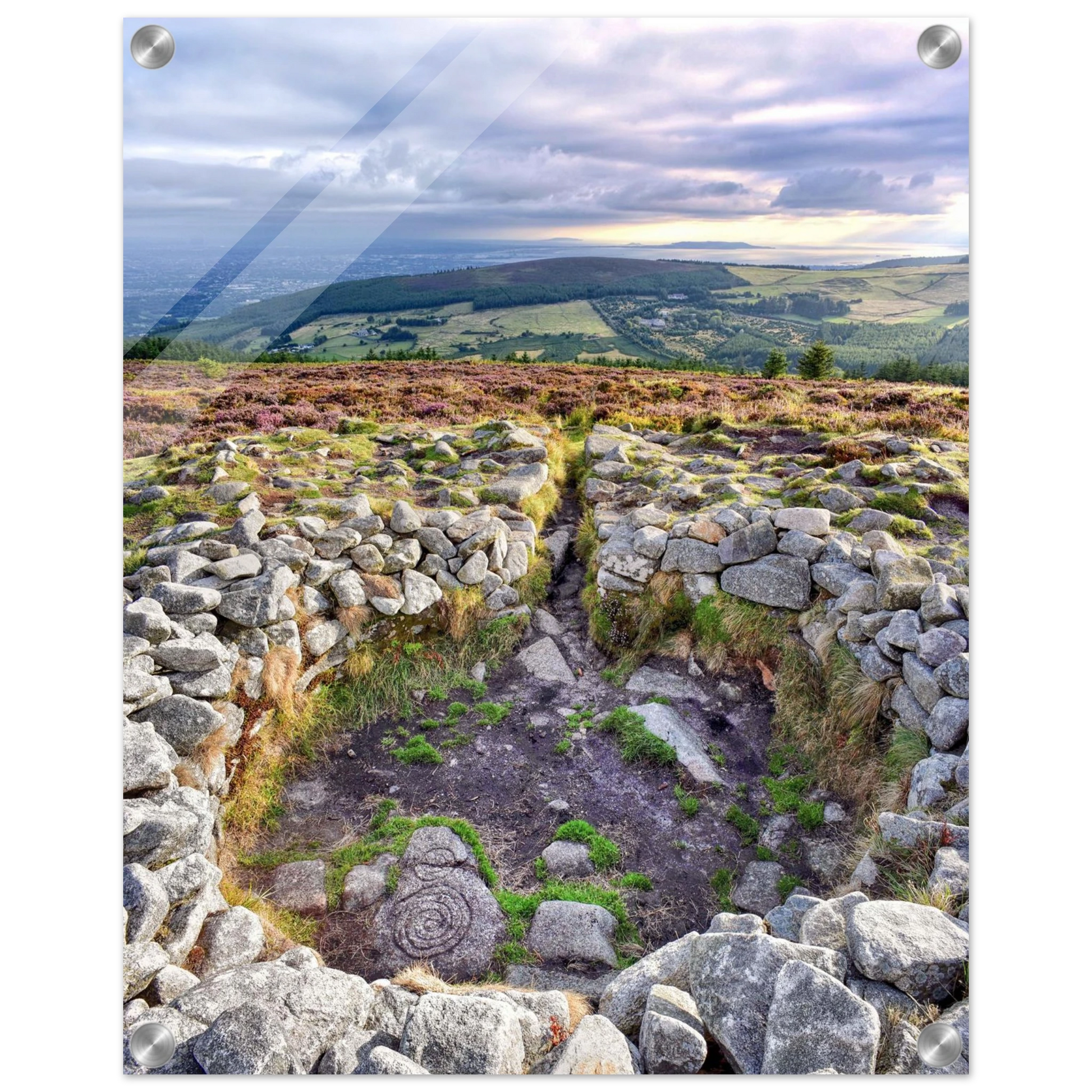 2958b0d9-db82-4a1d-b89f-609dfa75066b