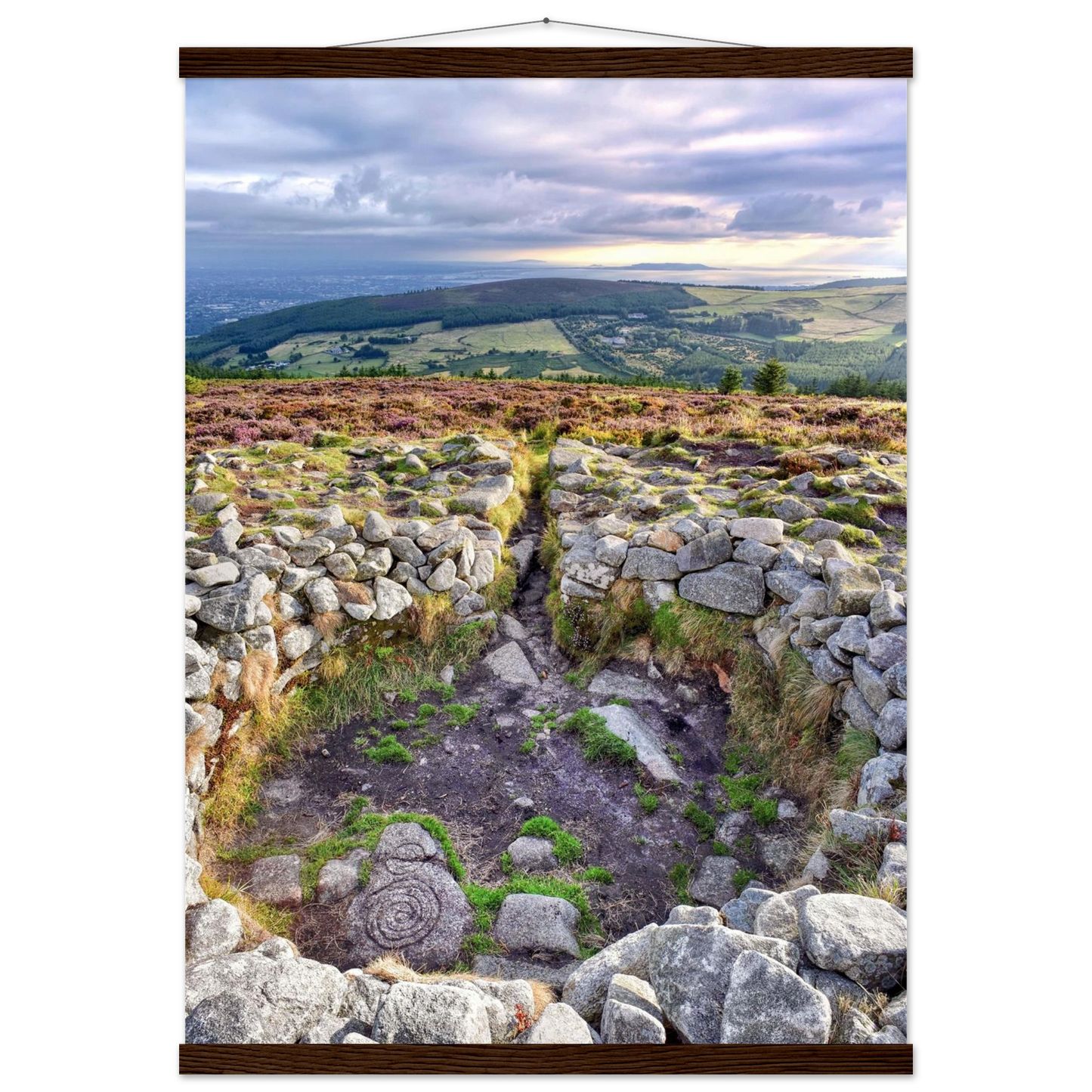 2a0c042c-d4f0-4011-a21e-0d06f82c8f80