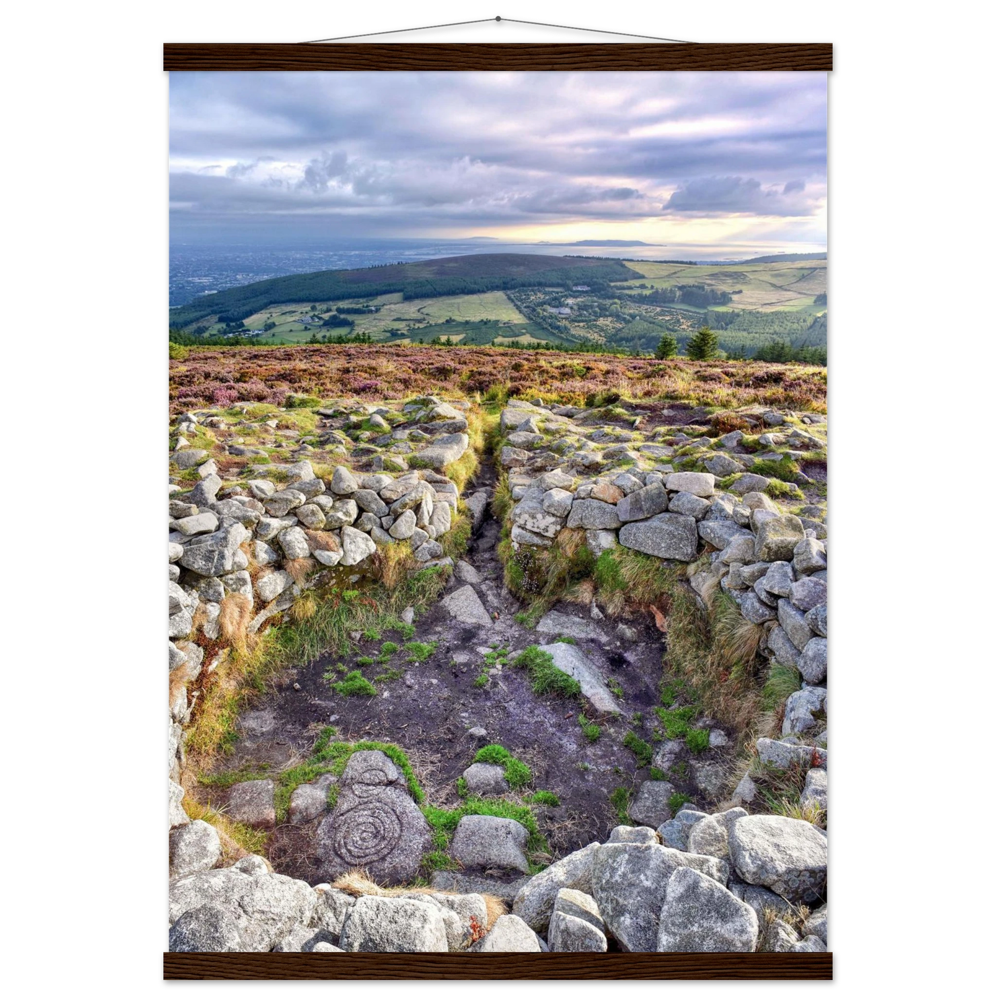 2a0c042c-d4f0-4011-a21e-0d06f82c8f80