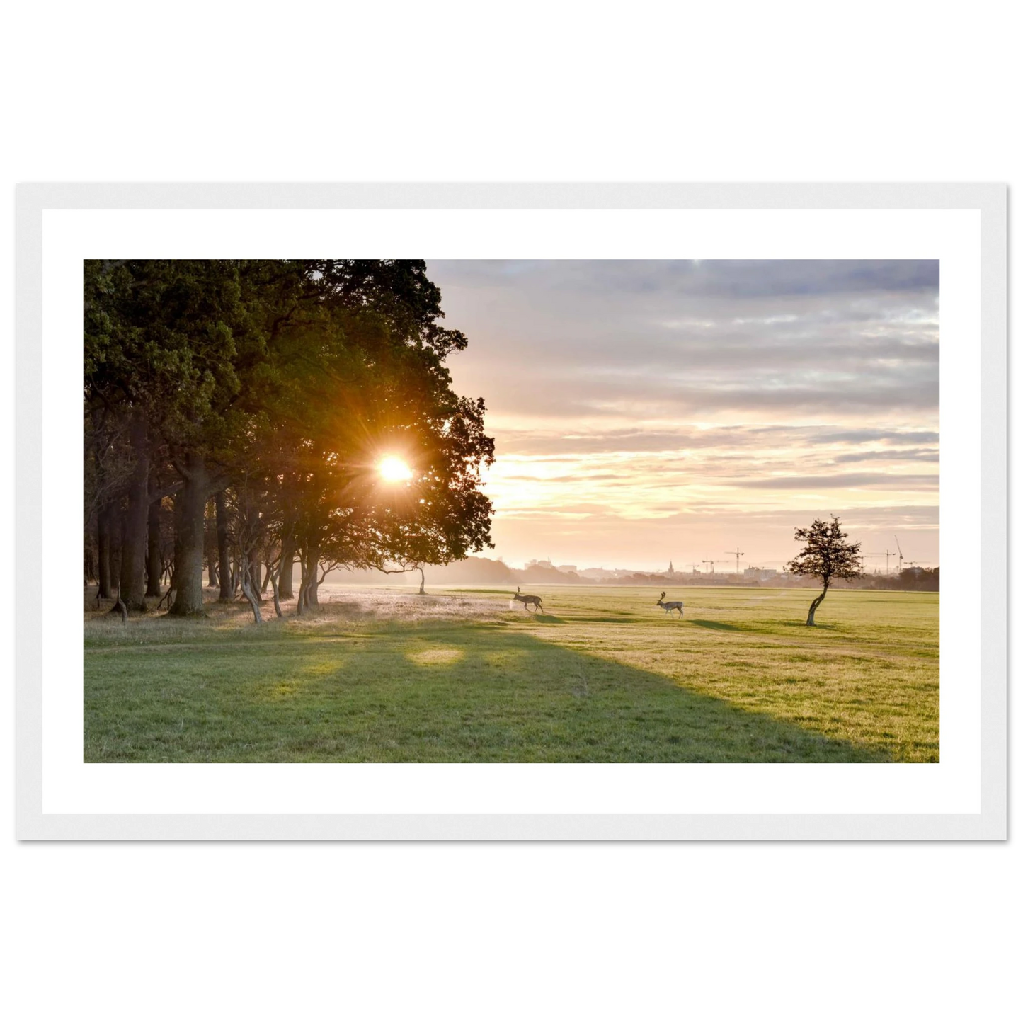 2a155ad5-82b4-4a1c-b701-c83b47b5f512