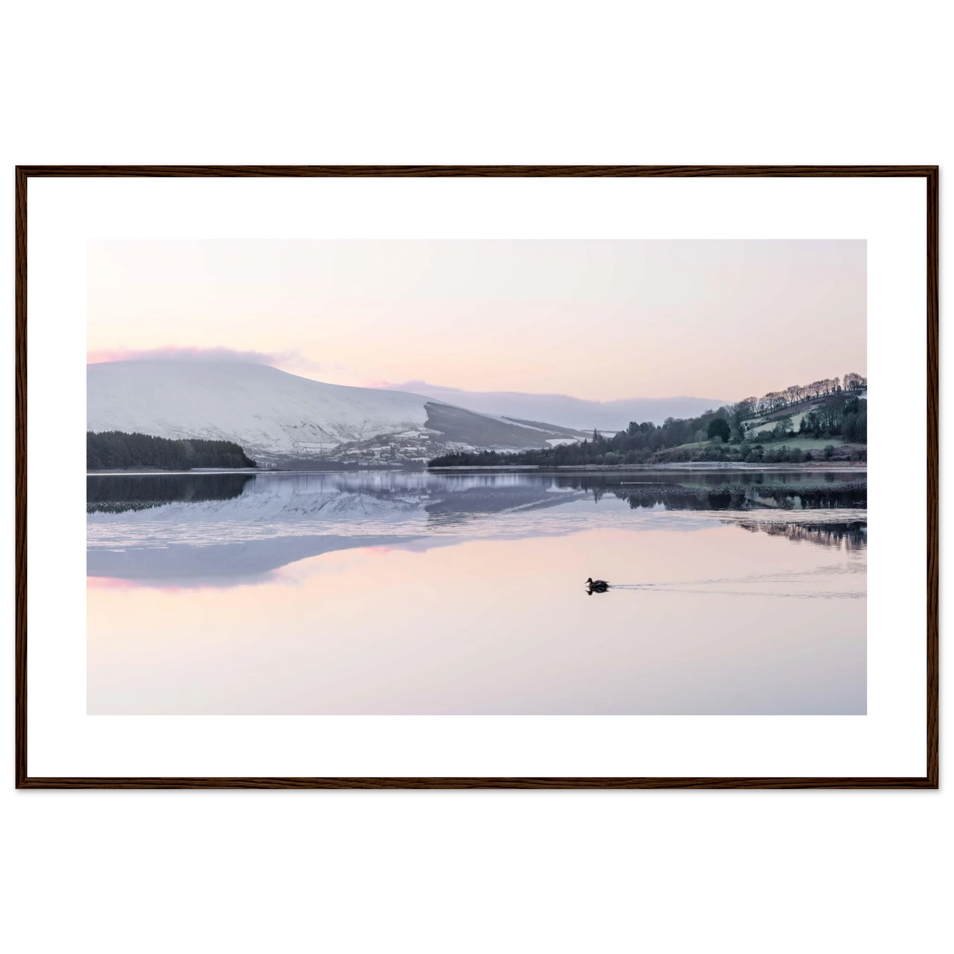 2aa29a82-c096-432b-a5f3-15f3256609da