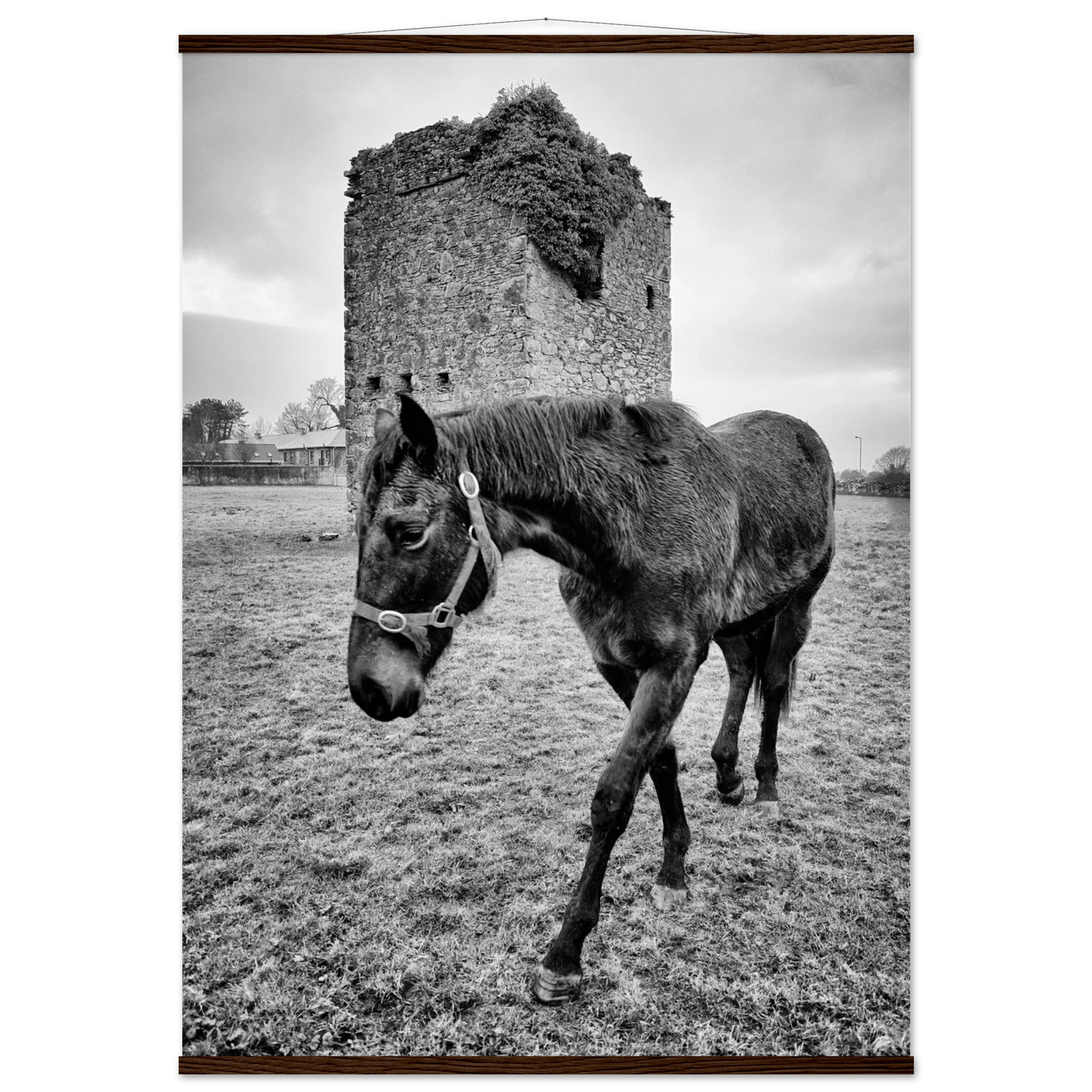 2ab3aa49-6036-4431-823e-edddf7e2c56a