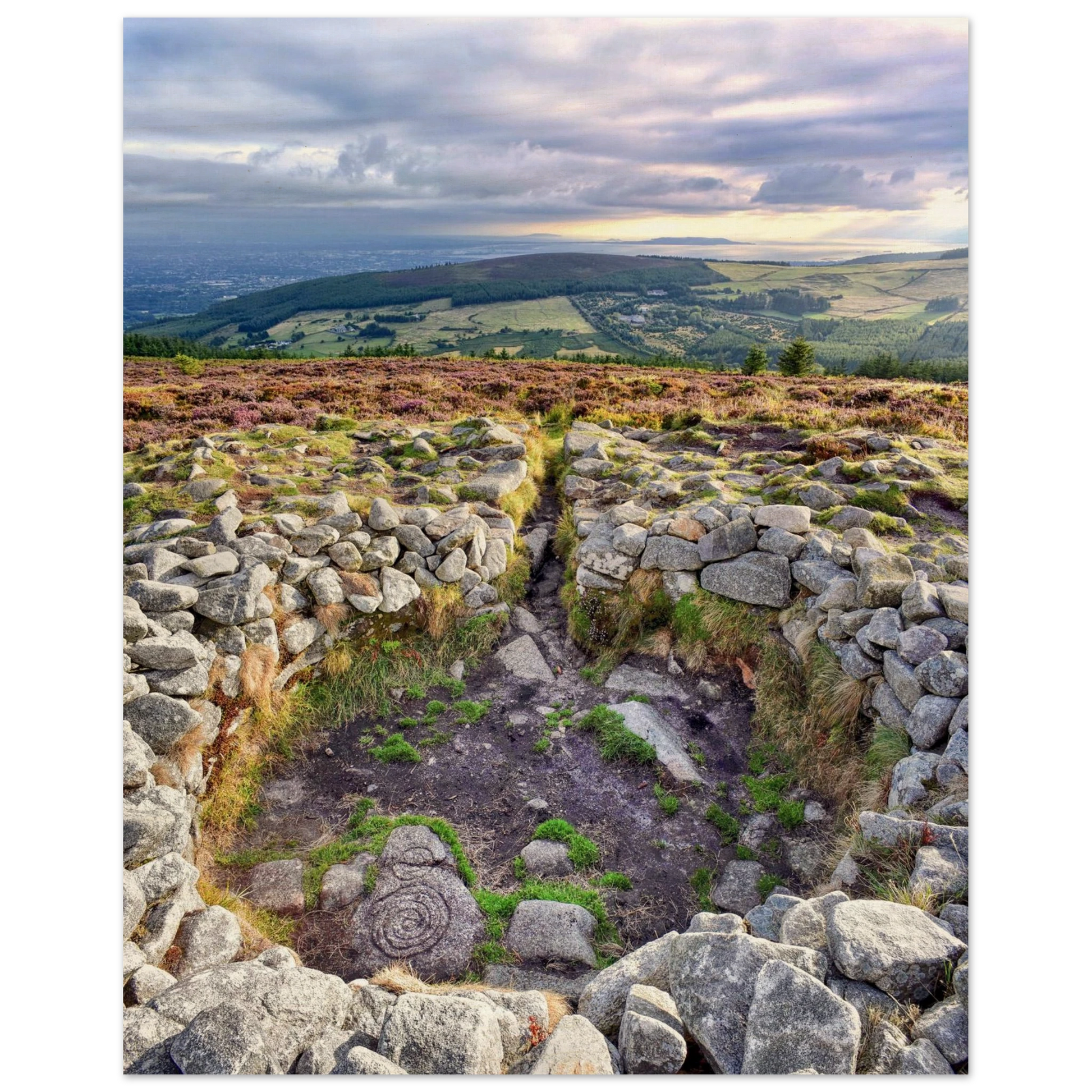 2ac3bca6-58df-4ef2-8bba-3cd151d3b31a