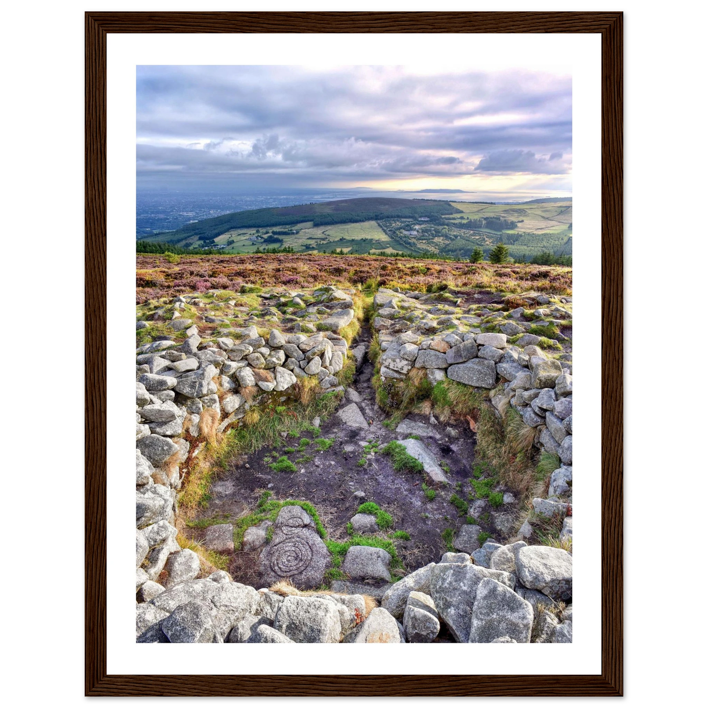 2b4a5410-95d4-4618-be82-b9b259e34d3f