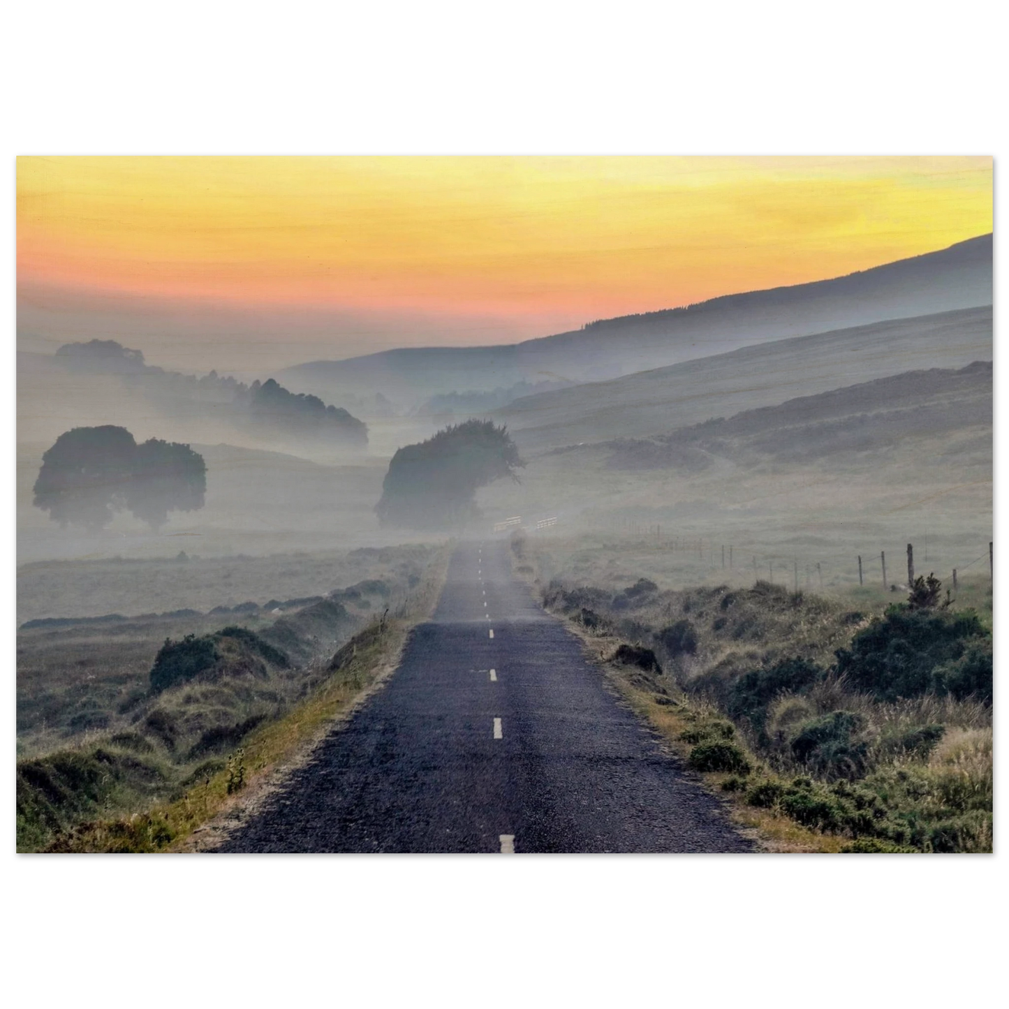 2b802203-f987-4d40-a5b3-fbf3faf3be3e