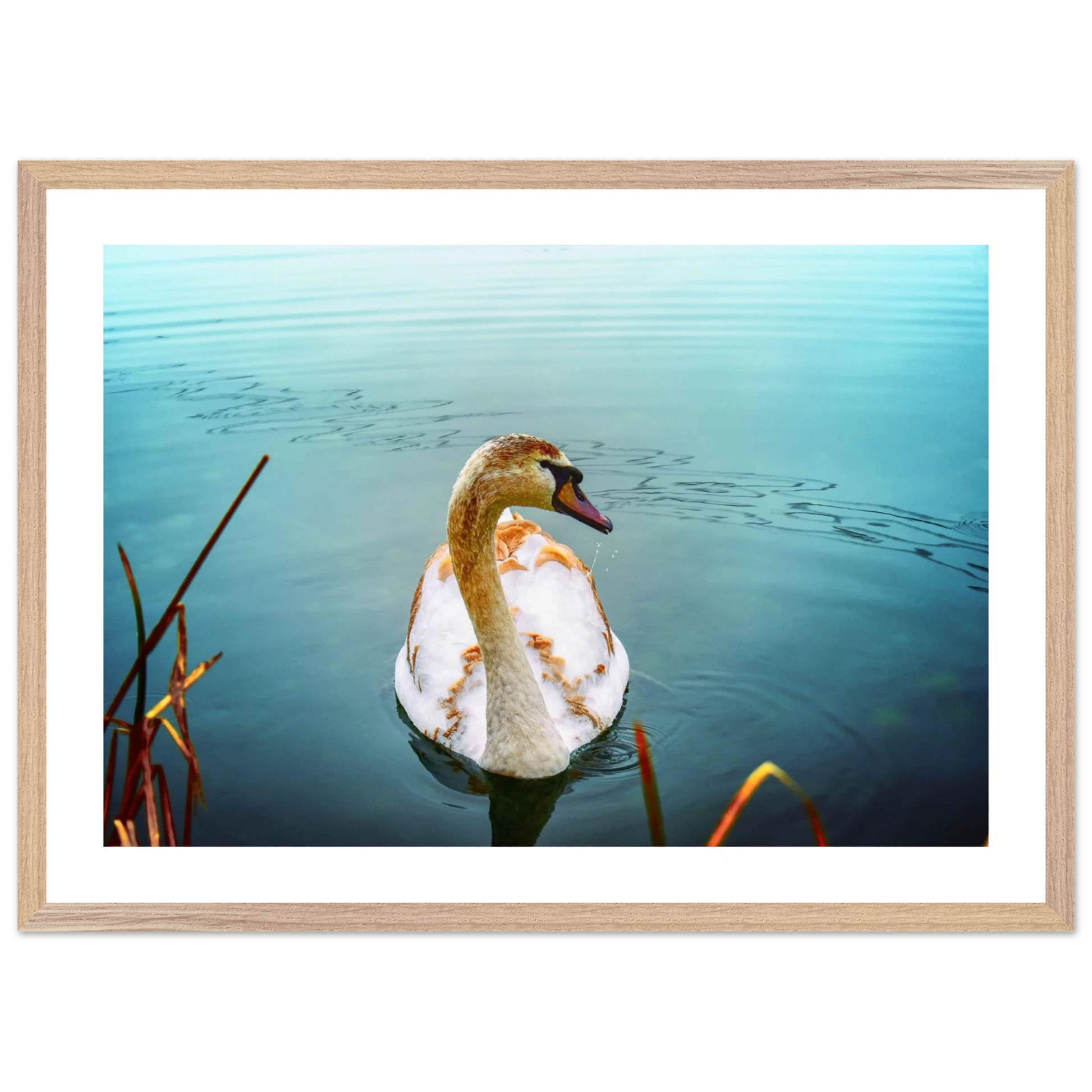 2c0d1799-dd6e-473f-93f0-55300645d153