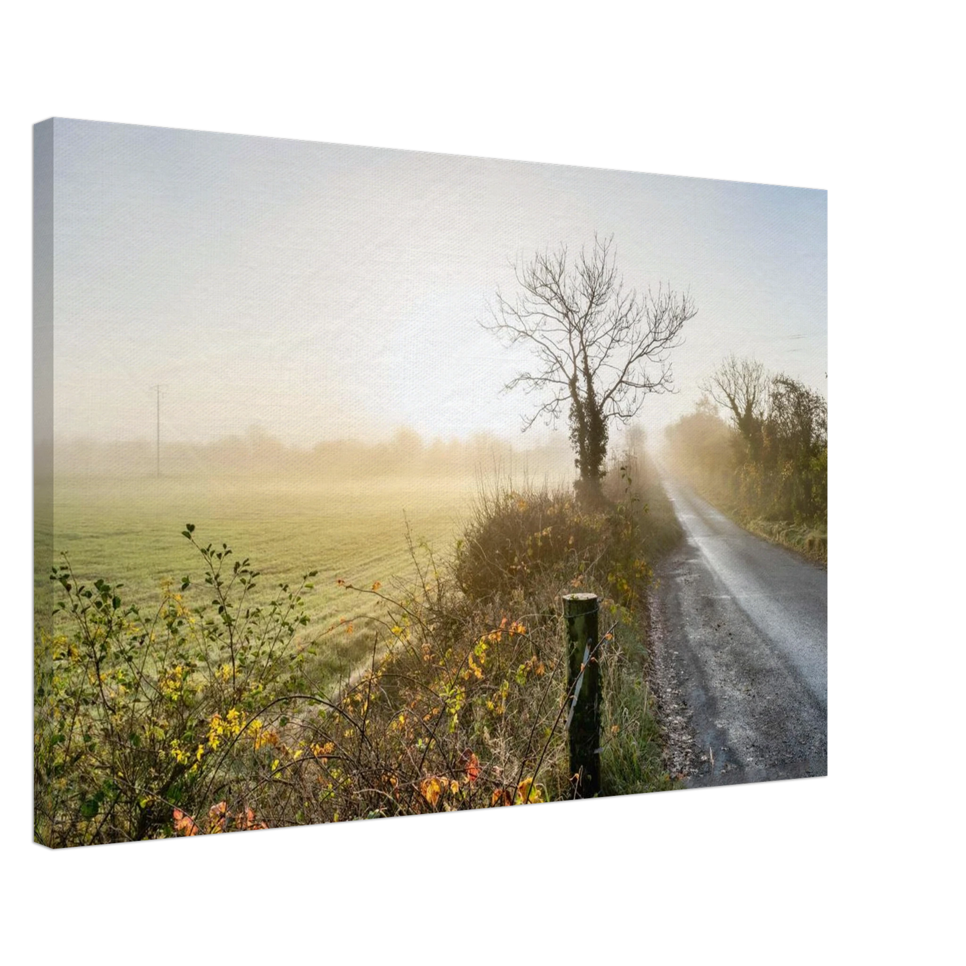 2c210b1d-5d60-4e9c-a37f-3280eb02265d