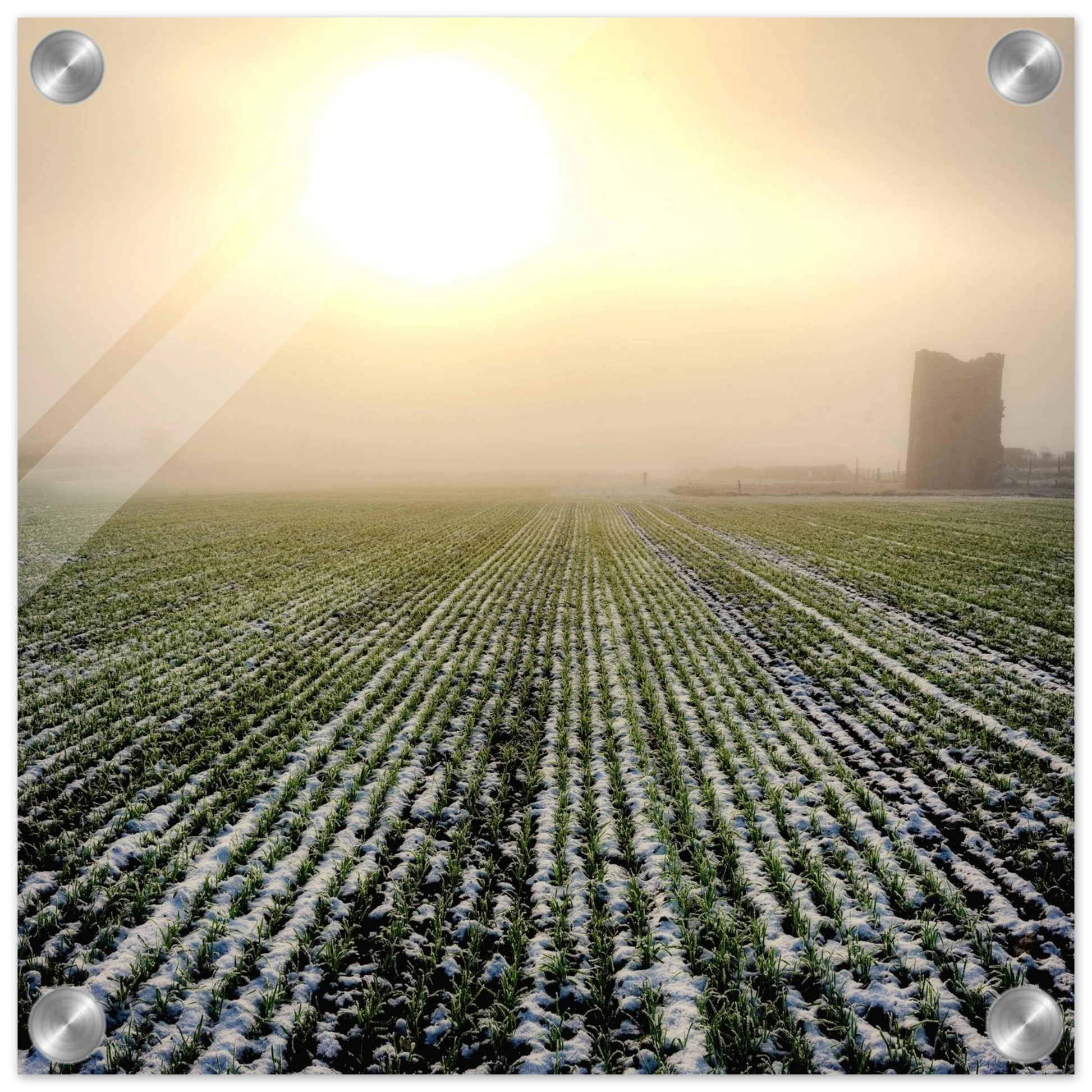 2da19443-0891-4fc4-b0a7-ff7e75a600aa