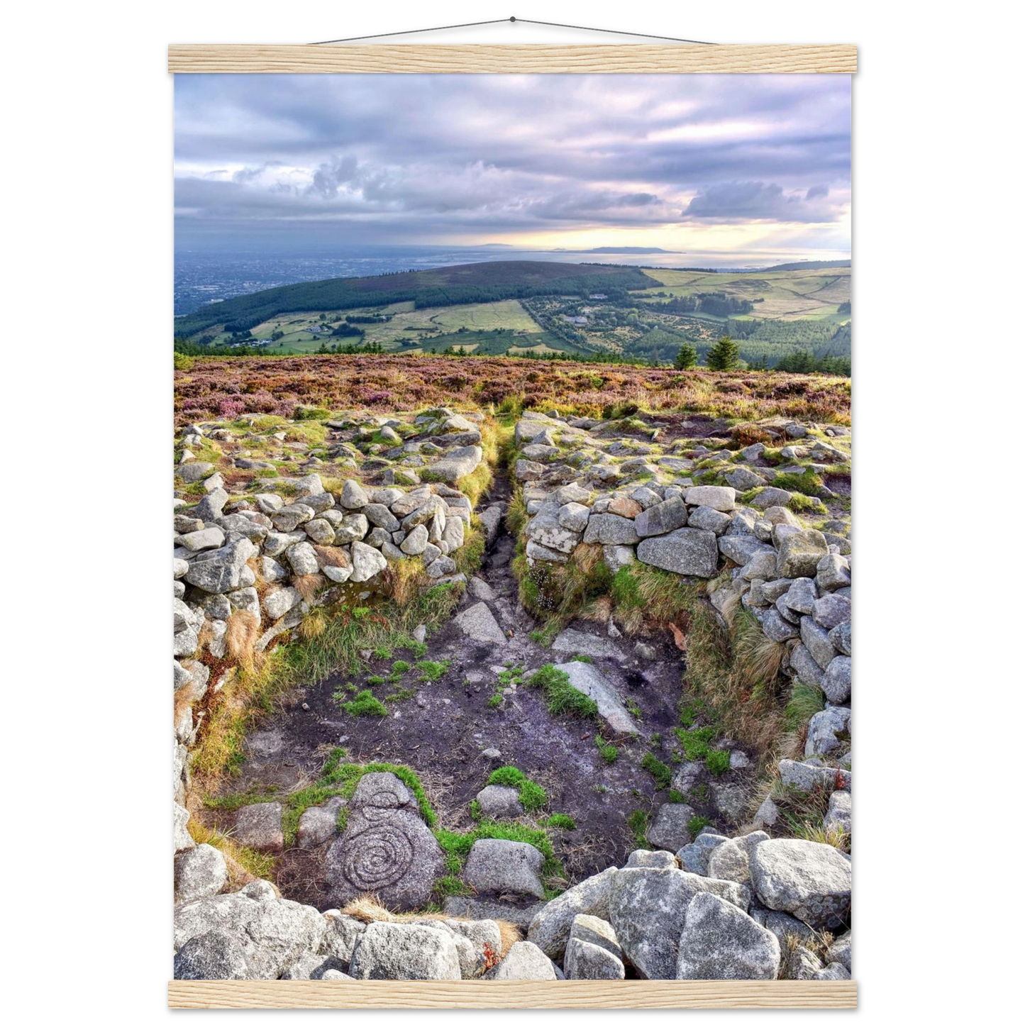 2df28c62-74b8-418f-b53a-619805d04967