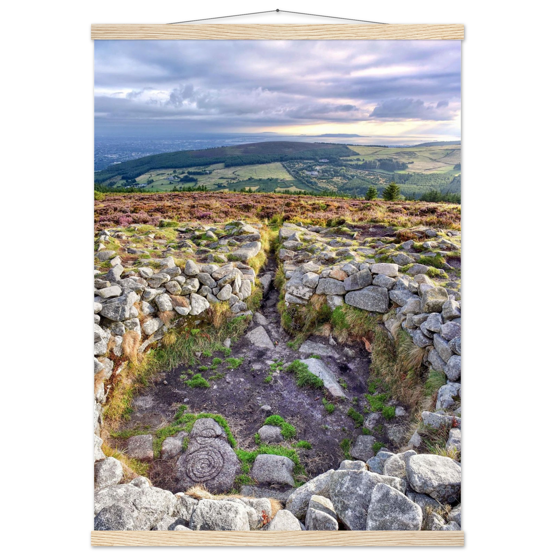 2df28c62-74b8-418f-b53a-619805d04967