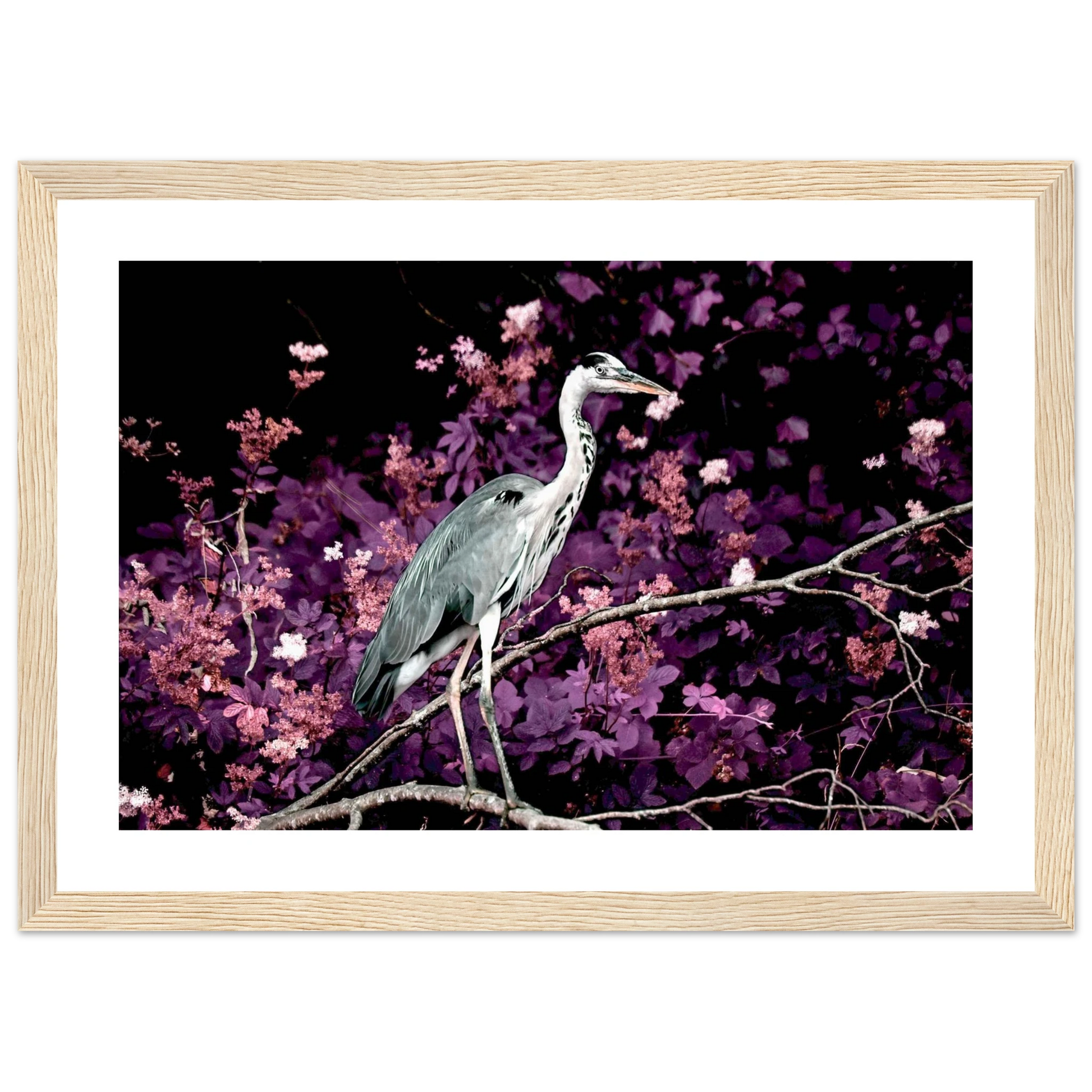 2e272dec-f368-42b1-b501-2b0a06c58ebb