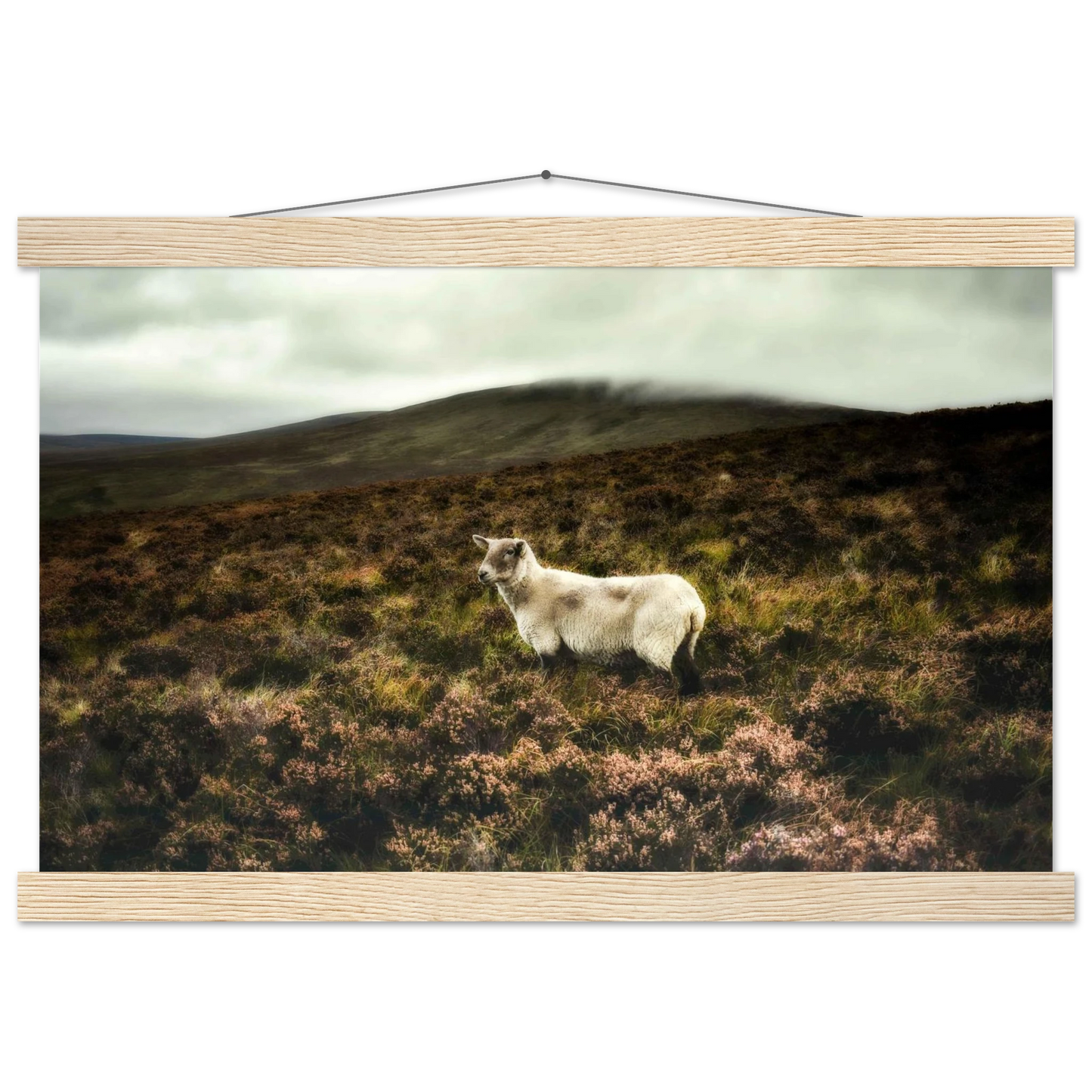 2e7c3461-2b2a-47ab-a18c-9a547a7fee8d