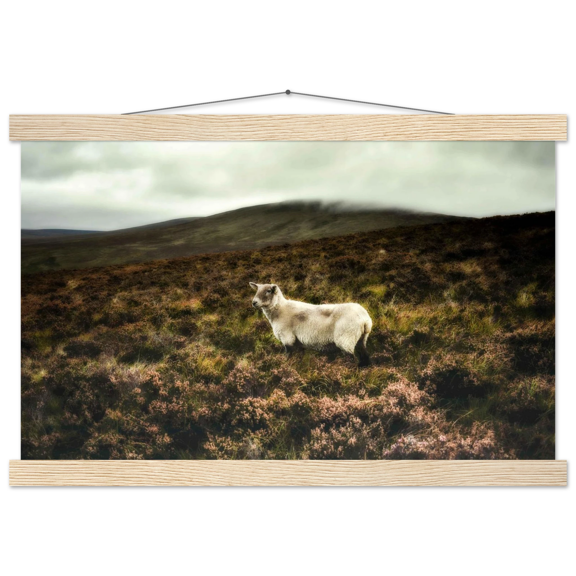 2e7c3461-2b2a-47ab-a18c-9a547a7fee8d