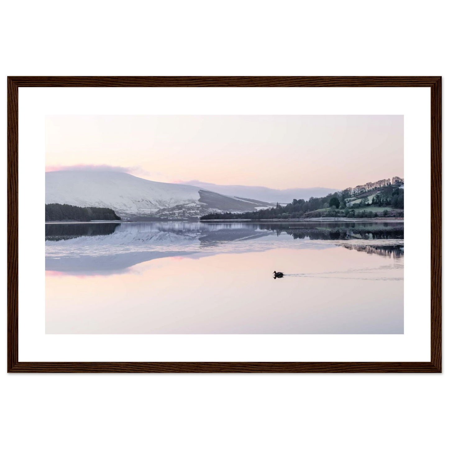 2e9c962f-0961-4d0e-9577-2df12bb965da