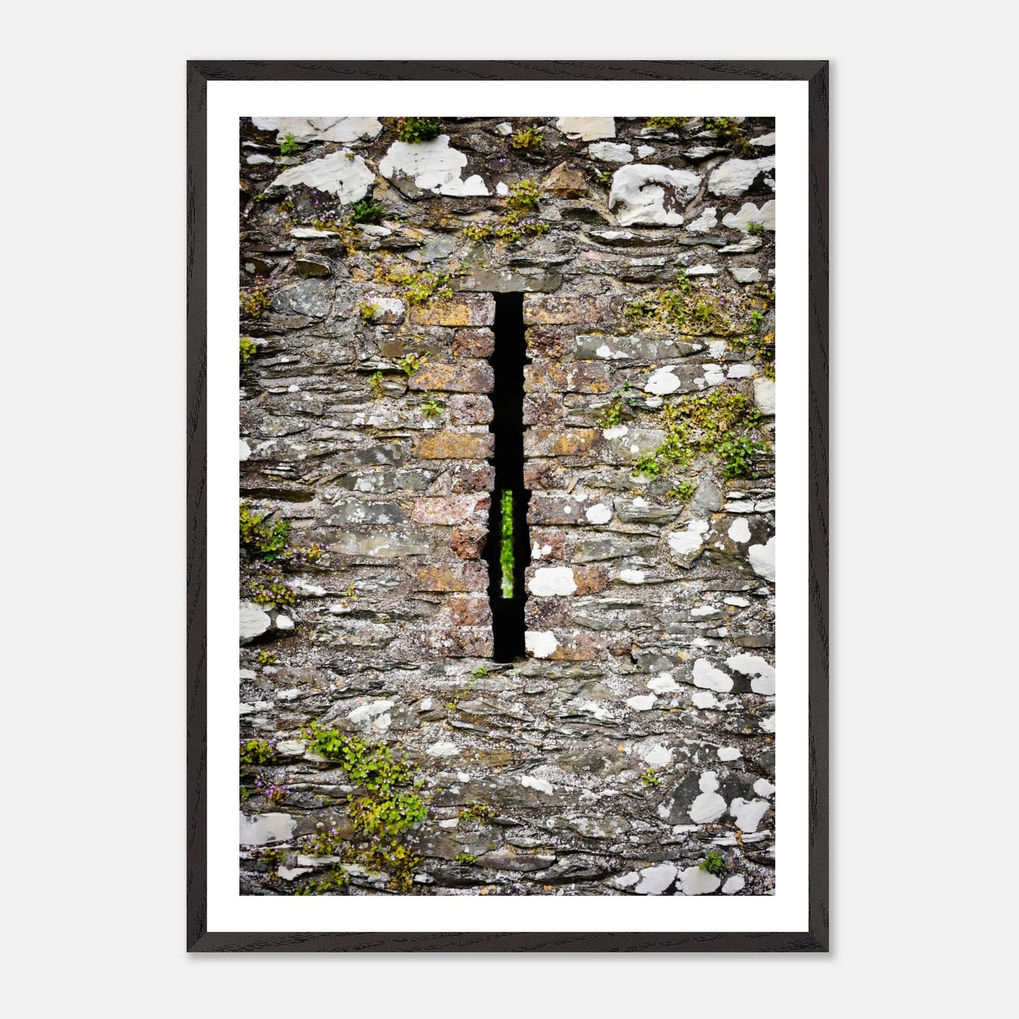 2ecf9210-77b5-4aac-88a0-9aa9125bf27d