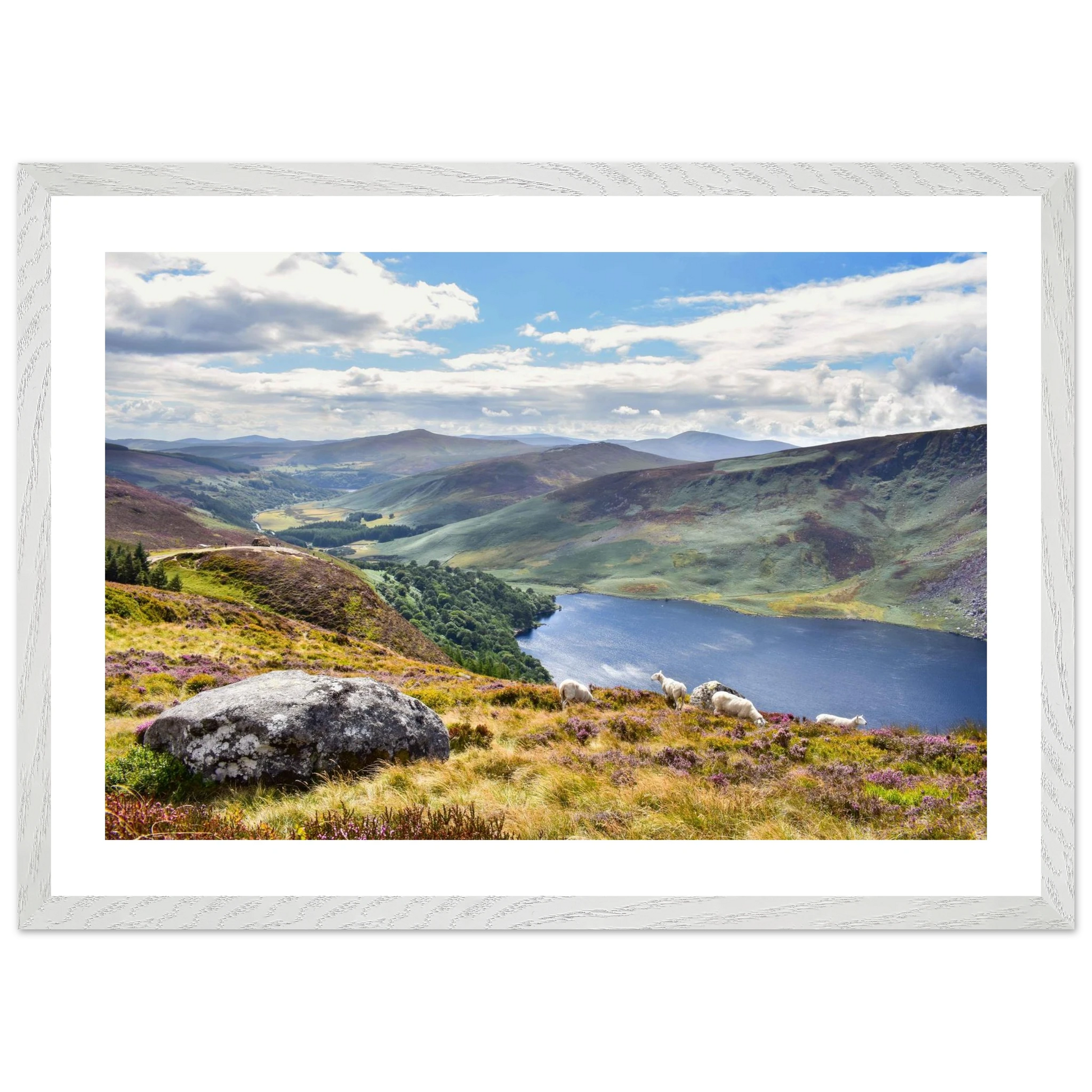 2ef8cb3c-6231-4f43-9295-36fc2d744915