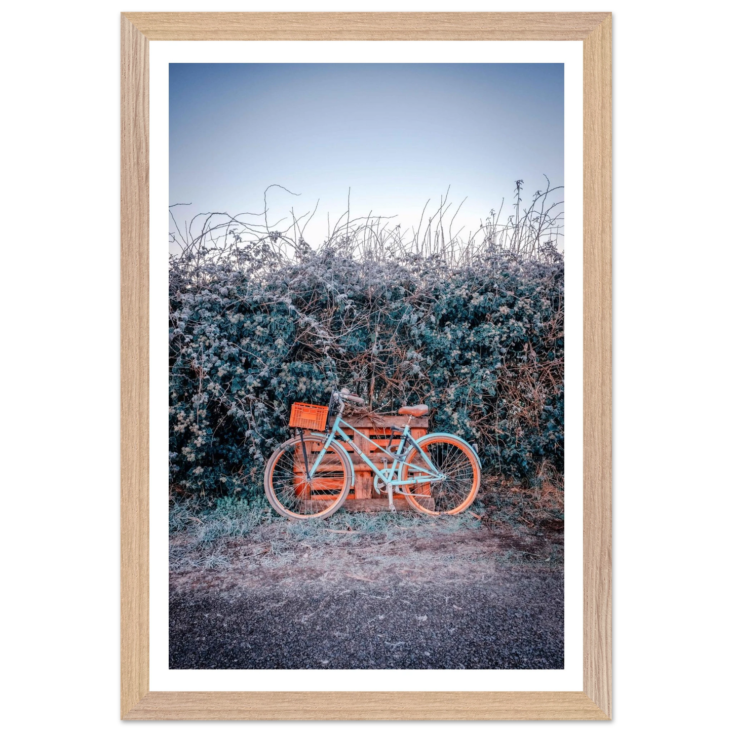 2f2ba8d4-93b3-4a1a-b7aa-efe4edb3f759