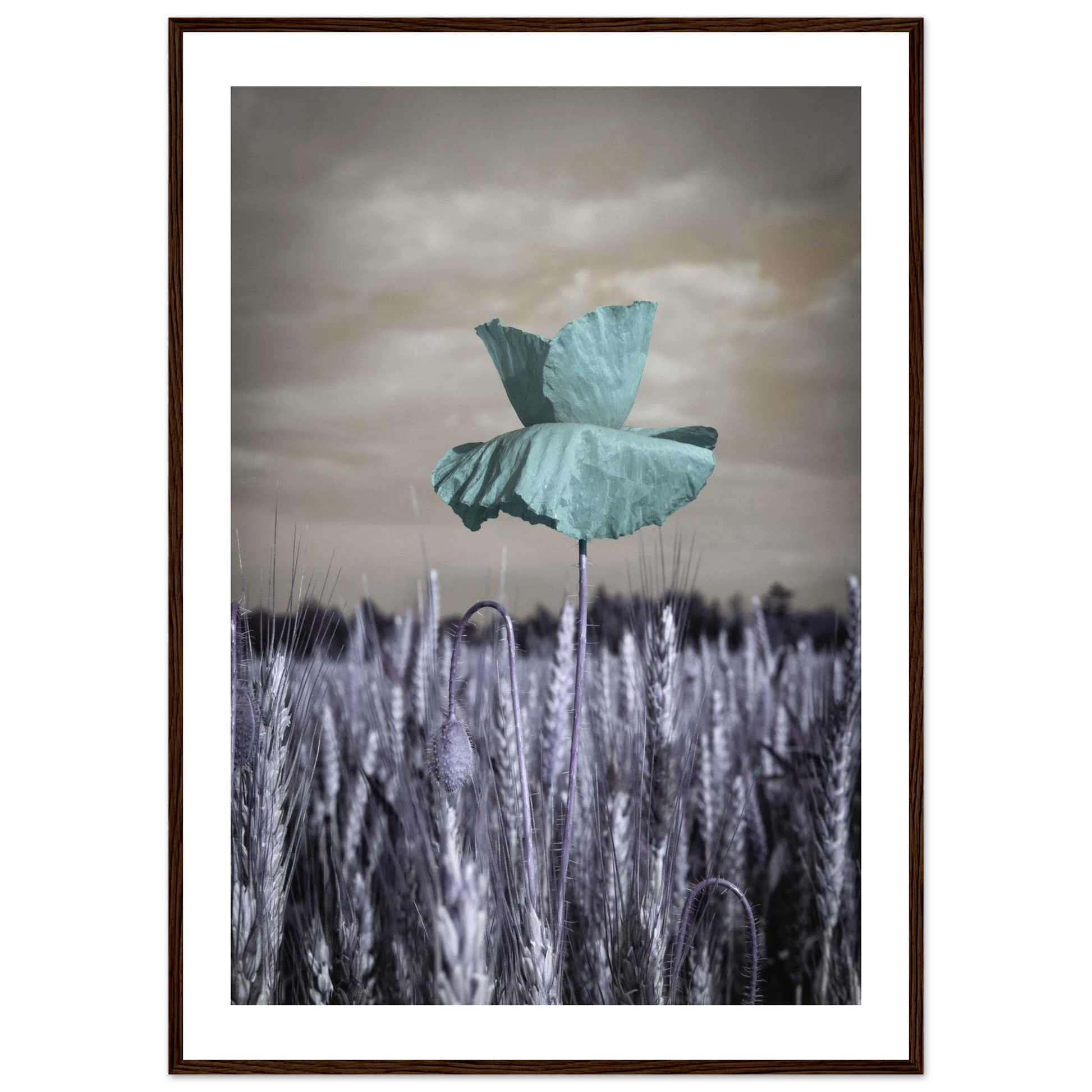 2f7e8fdc-87b8-43bf-95db-e5726e1e185d