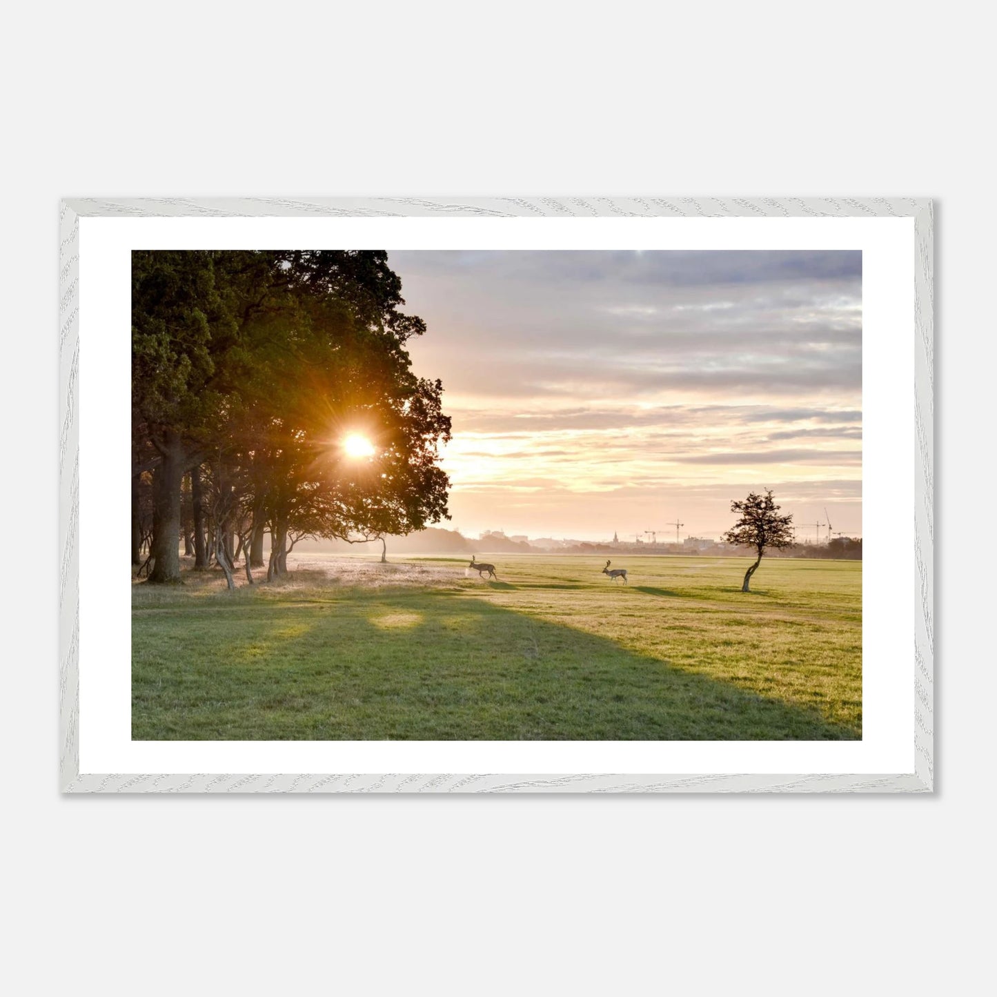 3099682a-1a6d-4ce2-94e5-797b118cfcb3