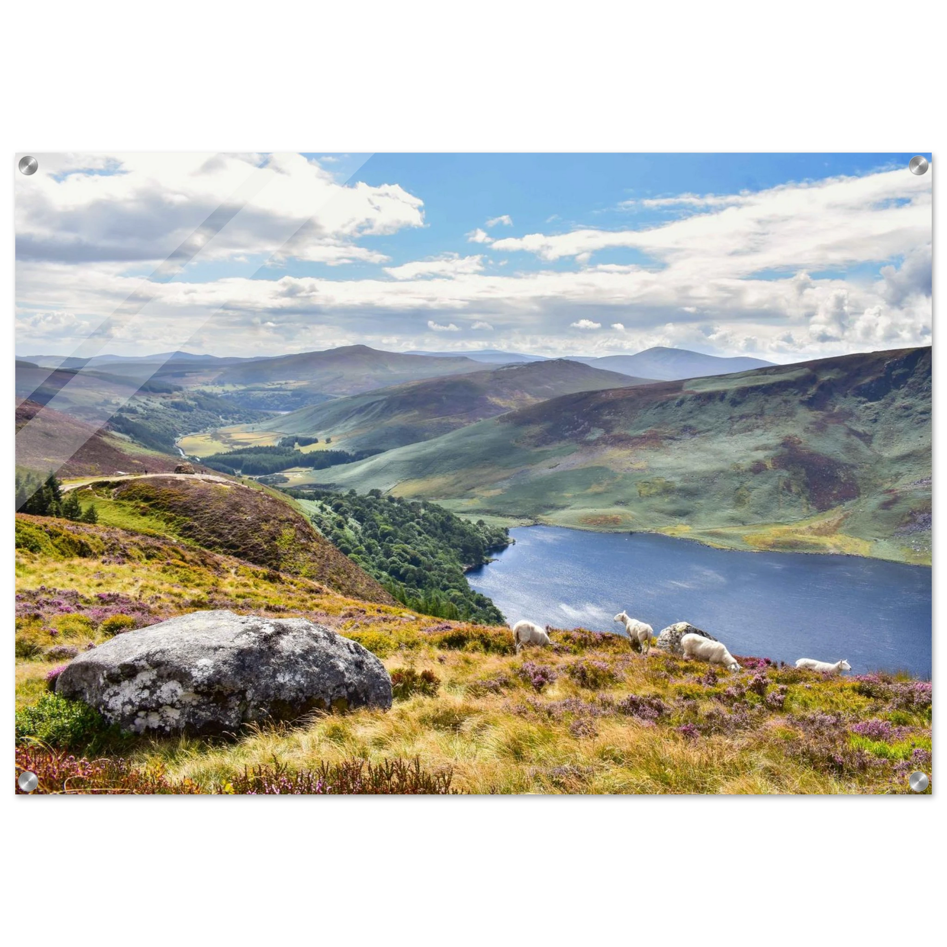 30cf17e3-c6f3-4c92-b1ce-89ffa35c37f1