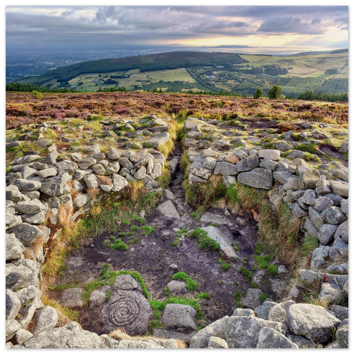 3280e381-26a5-449d-b901-26f03d734934