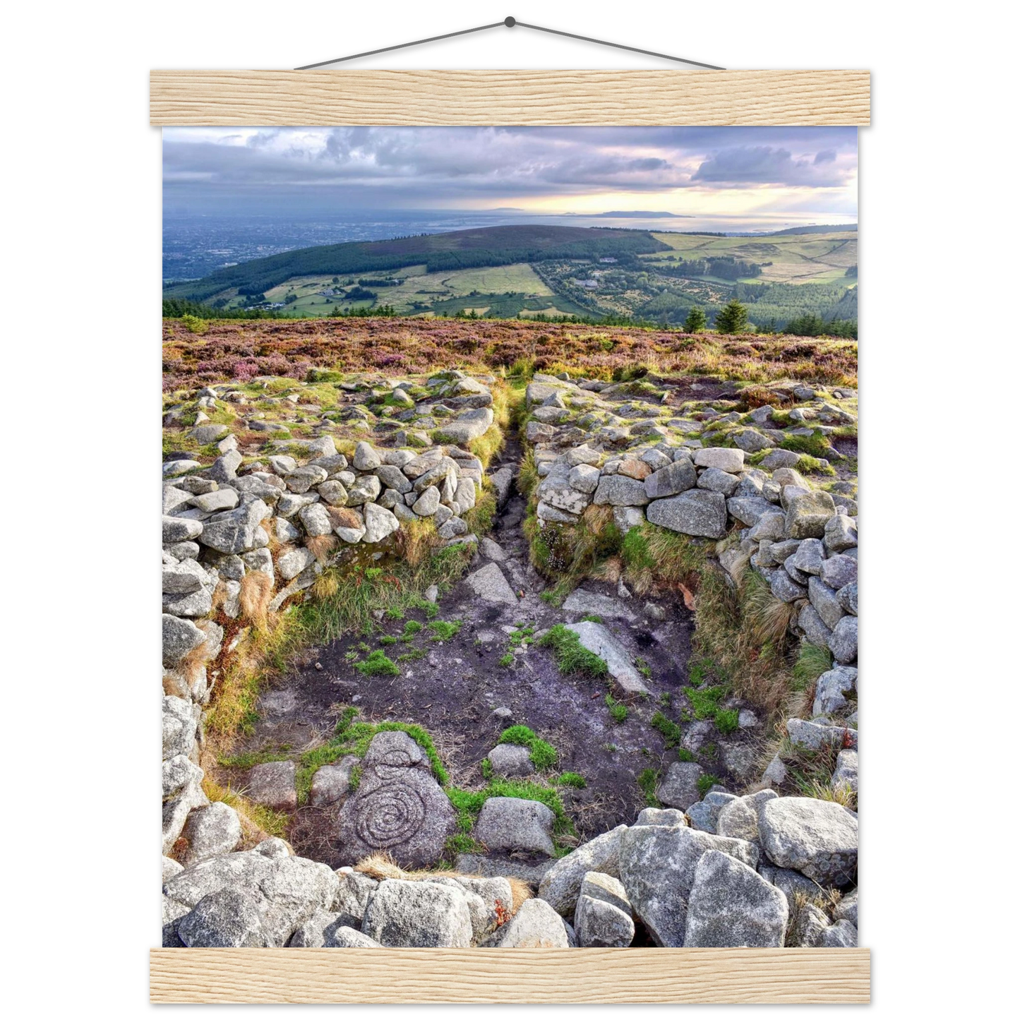 32c1b282-42be-483c-bee8-ff5c4c942ad0