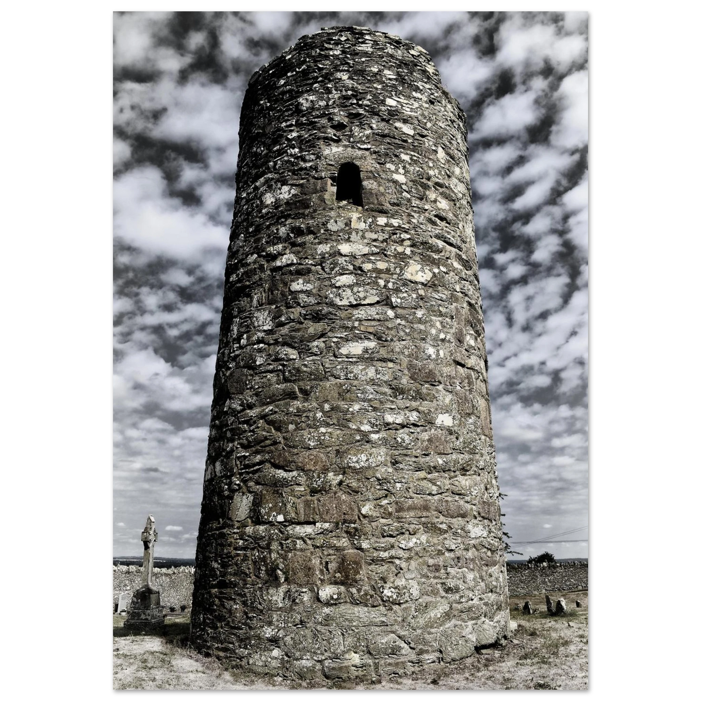 338c2285-251d-4286-ae0d-9b970021fe0f