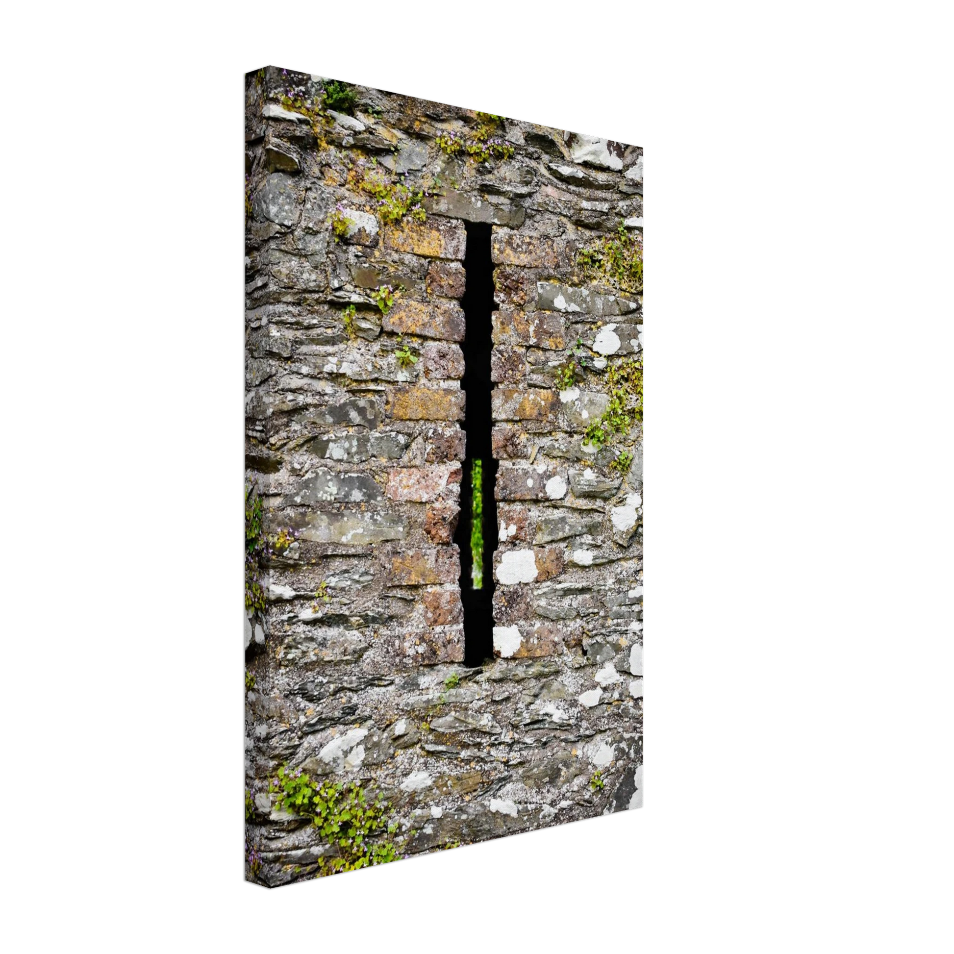 33c13423-26f4-47b1-8283-bddfc40c0a11