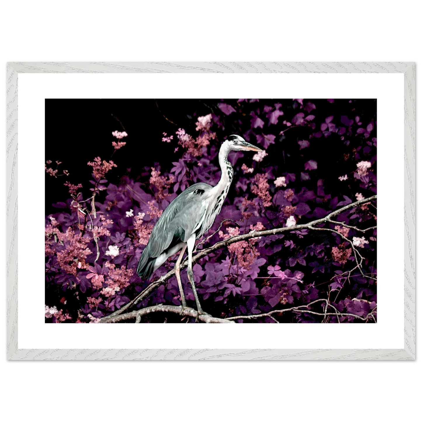 33f3c5ac-8133-4fcc-bcb3-0397d9cbc6b2