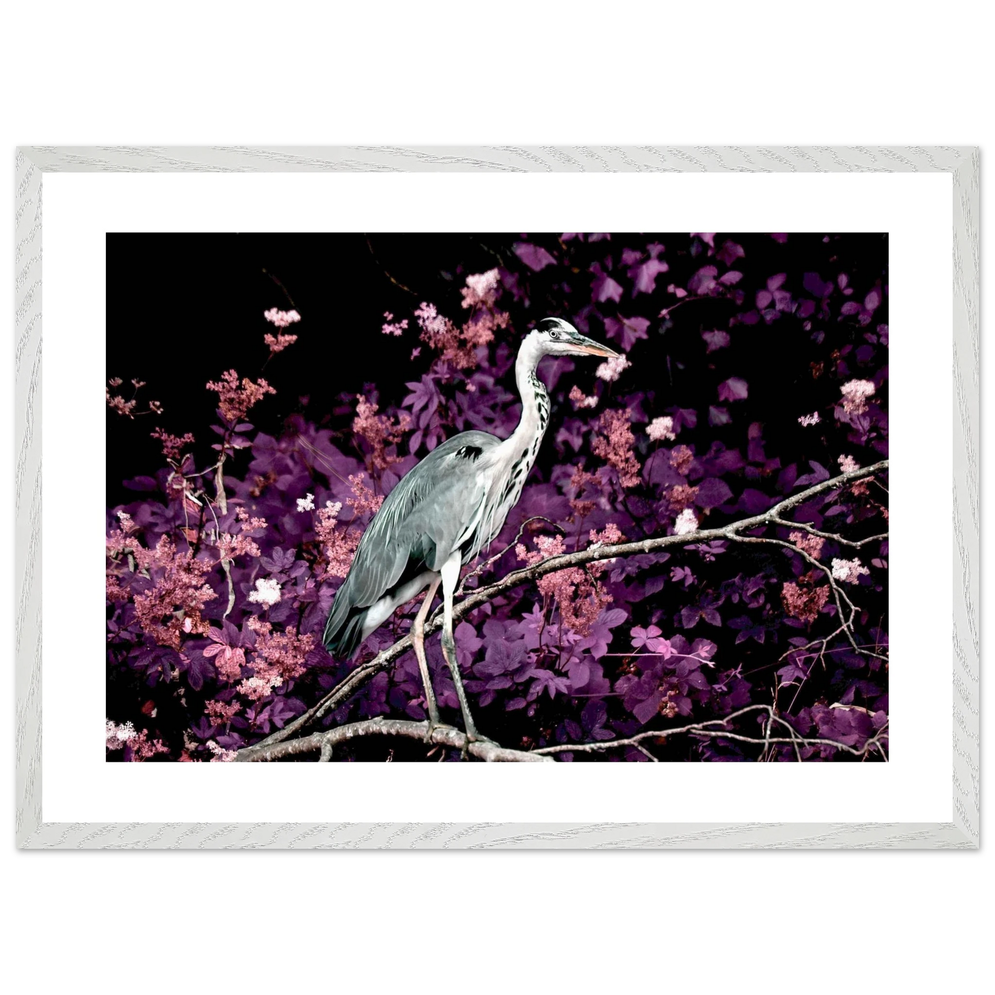 33f3c5ac-8133-4fcc-bcb3-0397d9cbc6b2