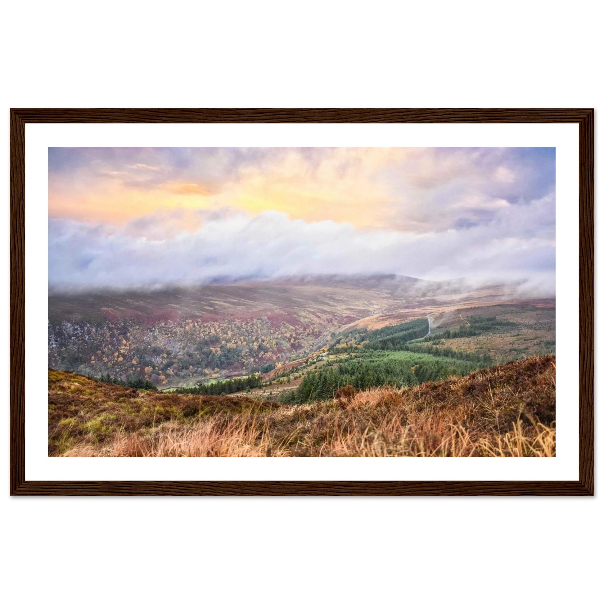 3454d36a-ac2e-4e77-8c3c-1f4e67379292