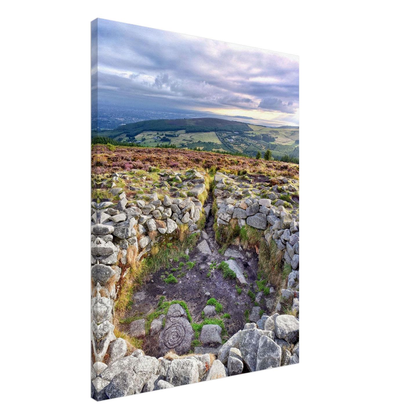 346632e1-ca1a-4af5-91ba-9e56cb7edf36