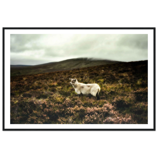 34a292d0-9c81-4b3b-827f-ecc33fd8be2e