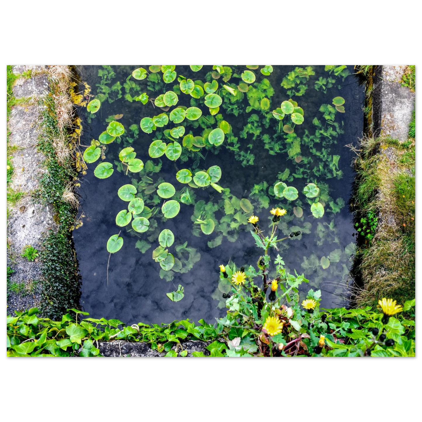 34a319eb-fe8d-4c26-9f5d-35f62d27a25c